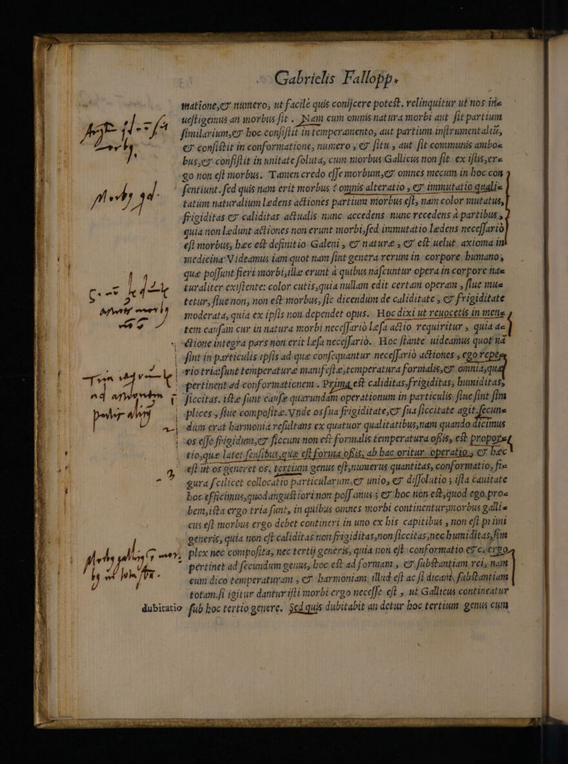 [bocT 7 2 n i Gabrielis Fallopp. uefLieemus an morbus fit. Nem eum oninis nat ura morbi aut. fit partium finilavium,e? boc confiflit in temperamento, aut partium in(irumcntaliz, €? confidit in conformationc, numero , €? [itu , aut. fit communis ambos bus;ez confiflit in unitate foluta, cum siorbus Gallicus non fit. ex iflis,ere go non efl morbus. Tanien credo effe morbum, omnes mecum in hoc coi fentiunt. fed quis nam erit morbus ? onynis alteratio , 7 immutatio qualie tatim naturalium ledens actiones partium morbus efL, nam color mutatus, frigiditas cx caliditas attualis nunc. accedens. nunc recedens a partibus , quia non ledunt actiones non erunt morbi, fed immutatio ledens neceffarió efl morbus, bec et definitio Galeni , €? nature , € est uelut. axioma in snedicina: Videamus iam quot nam fint genera rerum in corpore bumano; que po[funt fieri morbi,ille erunt à quibus nafcuntur opera in corpore tiae £uraliter exiflente: color cutis,quia nullam edit certa operam , fiue mua Ecturs flue non, non ef morbus, fic dicendum de caliditate ; c? frigiditate moderata, quia ex ipfis nou dependet opus... Hoc dixi ut reuocetis in mete tem caufam cur in natura morbi necc[Jarió Lefa actio. requiritur , quia ae fint in particulis tpfis ad. quie confequantur neceJario actiones , ego repe io tria funt temperature manfefle,tomperatura formalis, oimnta,qu pertinent ad conf ormatiotiem . Prima est caliditas.frigiditas; bumiditas; plices y flue compofita. vnde os fua frigiditateyco fu flccitate agit. fecune -es effe friaidiiter ficcum non est formalis temperatura ofíis, est propos tioque latet fenfibus,que cft forua ofis; ab bac oritur. operatio.) c9 bec eft ut o5 generet os. tertium genus eftnumerus quantitas, conformatio; fi- gura fcilicet collocato particillarum;e7 unto, diffolutio 5 ifl4 cauitate boc ef icimts,quod angustiort non po[J auus 5 &amp;9 boc nion esb,quod ego.pro« benifta ergo tria funt, in quibus omnes worbi continenturgmorbus galli» cus efl morbus ergo dcbet contineri in uno ex bis capitibus , non eft pint generis, qiia tion cft caliditas iom frigiditas,non ficcitas;necbumiditas,fim 4 * pertinet ad fecundim genus, loc est ad formam , e fübstantiam, rel, nam cun dico temperaturam ; «y barmoniam, illud eff ac fj dtcaity fabSbantiam totam.fi igitur dantur ifti morbi ergo neceffe eft ut Gallicus contineatur