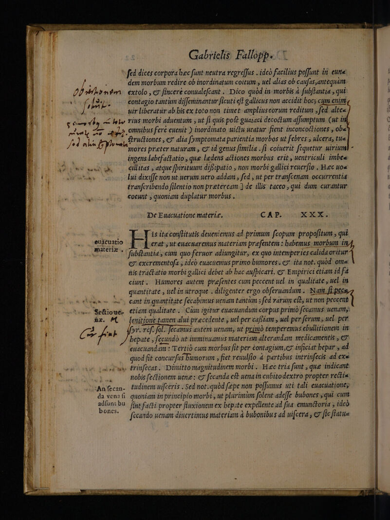 ^ fed dices corpora bec funt neutra regre[Jus . idco facilius poffunt ii eue H ANH dem morbum redire ob inordinatum coitum , uel alias ob caufas,antequám fot o m ten extolo , c7 finceré conualefcant |. Dico quód in- morbis à. fub[laritia , qui : 3. contagio tantum difJeminantur ficuti eft gallicus non accidit boc; cum enim / je e ; r k Y . 3 d Ltda tir liberatur ab bis ex toto non. timet ampliuscorum reditum fed altes C6 o, huie rius morbi aduentum , ut fi quis poft guaiaci decoctum affumptum. (ut i mv, T ny; Ormnibus fere euenit ) inordinato. uictu utatur fient. inconcocHones , obe /^ 2 la £y -,iSEructiones , c2 alia (ymptomata parientia morbos ut febres , ulcera, tus 4 ingens labefactatio , que ledens actiones morbus. erit , uentriculi imbes VP cillitas , atque fpiritum diffipatio , non morbi gallici reuer[io . Heec uou d lui dixiffe non ut uerum uero addam , fed , ut per tranfcenam. occurrentia tranfcribendo filentio non preteream ] de illis taceo , qut dum. curantur coeunt , quoniam duplatur morbus . De Euacuatione materie. CAP. XXX. Ll it conflitutis deuenieruus ad. primum fcopun propofitum , qui À Rerat;uteuacuaremus materiam prefentem : babemus morbum in fabflantia y cm quo feruor adiungitur, ex quo intemperies calida oritur e excrementofa , ideo euaciemus primo bumores. c7 ita not. quód. ottte nis tra&amp;atio morbi gallici debet ab bac aufpicari. ez Empirici etiam id fa ciunt. Hümores autem prefentes cum peccent uel. in. qualitate , uel. in ..— quantitate y ttel in utroque . diligenter ergo obferuandum .. Nana Ji pec cw x. Cant In quantitate fecabimus uenam tantàm 5 fed rarum est, ut non pecceit euácuatio materla . dx. MC — [enitioue tamen alui precedente , ucl per cafeiam , uel per ferum ; uel. per rd f  yr. ref. fol. fecamus autem uenam, ut primo temperemus ebullitioners in | bepate y fecundó ut imminuamus materiam alterandam medicamentis , € euacuandam : Tertio cum morbus fit per contagium,c7 inficiat bepar , ad « trinfecas .. Dimitto magnitudinem morbi .. Heec tria funt , que indicant ttobis fectionem ueng : c7 fecanda est uena ii cubitodextro propter rectis E ficando uenam diuertimus materiam à bubonibus ad uifcera , &amp;7 [ic flatue