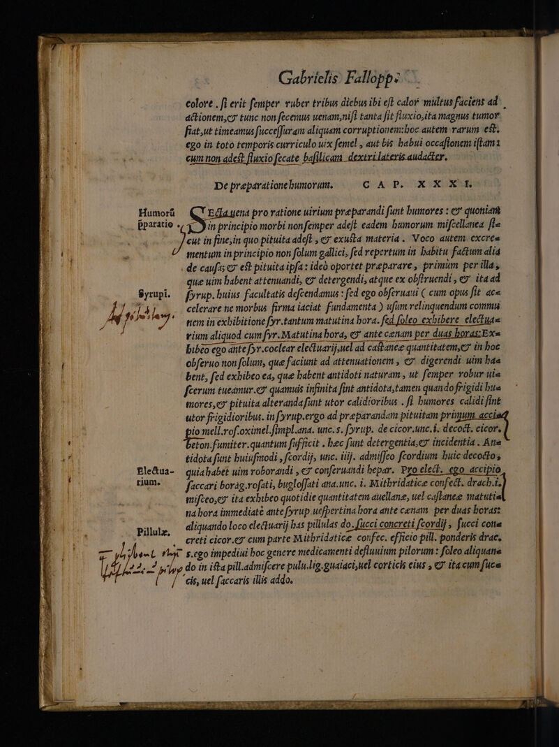 e RW TACUMI rien k nmeg -ca gir IPIOL S ii ba itimre rREp gia ur. UNTER I. ENTE M M I eau * J Gabrielis: Falloppz colove . fi erit femper. vuber tribus dicbus ibi eft calor multus faciens ad actionem,cy tunc non fecemus uenam,nifl tanta fit fluxio,ita magnus tumor fiat,ut timeamus fucce[furam aliquam corruptionem:boc autem rarum est. cgo in toto temporis curriculo uix femel , aut bis. babui occaflonem iftam x cum non adest fluxio fecate bafilicam dextrilateris audader. De preparatione umor. CAP. XX XL Humorü Ea yena pro ratione uirium preparandi funt bumores : e quoniam pparatio ., X in principio morbi nonfemper adeft. eadem humorum mifcellanea ffe Jes in fine;in quo pituita adeft , «7 exusta materia . Voco autem. excree mentum in principio non folum gallici, fed repertum in. babitu factum alid de caufis ey e pituita ipfa: ideà oportet preparare, primum per illa, que uim babent attenuandi, e? detergendi, atque ex obfiruendi , &amp;9* ita ad Syrupi. — fyrup. buius facultatis defcendamus : fed ego obferuaui ( cum opus fit «c« TA VE celerare ne morbus firma iaciat. fundamenta ) ufum relinquendum commi / (IN / à Mi tiem in exbibitione fyr.tantum matutina bora. fed foleo exhibere electuas bibco ego ántef»r.coclear electuarij uel ad castanee quantitatem,c in boc obferuo non folum, que faciunt ad attenuationem , «5 digerendi uim hae bent, fed exbibto ea, que babent antidoti naturam , ut. femper. vobur uie féerum tueamur.ey quamuis infinita fint antidota;tamen quandofrigidi bue tiores,ex pituita alterandafunt utor calidioribus . fü bumores. calidi fint utor frigidioribus. in f yrup.ergo ad preparandam pituitam primum acci. io aell.rof oximel.[iapl.ana. unc.s. f'yrup. de cícor.tinc.i. decodt. cicor, rion fumiter.quantum fufficit . bec funt detergentia,es incidentia . Atta tidota funt buiufmodi , fcordij, unc. iij. admiffeo fcordium buic decocto, Ble&amp;ua- quiahabet uim roborandi , «7 conferuandi bepar. Pro elect. ego accipio ] vium aliquod cum fyr.Matutina bora, ey ante cenam per duas bords; Ex« rium. —— foccari borag.rofati, bugloffati ana.unc. i. Baitbridatice confett. drach.i, mifceo,e9 ita exhibeo quotidie quantitatem auellane, uel caflanee matutis ná bora immediate ante fyrup.uefpertina bora ante cenam. per duas boras: aliquando loco electuarij bas pillulas do. fucci concreti fcovdij , fucci cotta Pillulz, Lise pad dyubee creti cicor.eo cum parte Mitbridatice confec. efficio pill. ponderis drac, u / cis, uel faccaris illis addo.