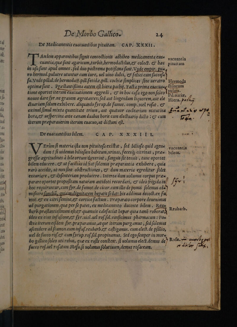 ^ | De Medicanentis euacuantibus pituitam. ^ CAP. XXXIII. ly d. o Ándem apparentibus fignis concottionis adbibeo medicamenta eue caus Wr. cuantia;que [unt agaricum,turbit,bermodactilus,e coloct. &amp;?' bec pituitam | - in ufa funt apud omnes . fed duo postrema potifsima funt .V de empir. pue | ro bermod.puluere utuntur cum iure, uel uino dulci, e» felici cum faccefa fu.Nnde pillul.de bermodadt-pill.fetidee,pill. cochie fImplices fine ueratro.! Hermoda | optime funt. Prestantifsima autem cft biera pachij. Facta prima enaciiae, Gilorum MA tione oportet iterum euacuationem aggredi , co in boc cafu ego non folcol putas. ds THE nouos dare fyr.ne grauem egrotantes; fed aut lingendum liquorem;aut le. ier, p^ e We | étuarium folum exlibere. aliquando f'yrup.de fumot. comp. niel vofat . es  7 di J oximel fimul mixta quantitate trium , aut. quatuor. coclearium matutina 9 2r me wm 7 li, | bora,c7 uefbertina ante cenam duabus boris cum electuario dido ;e? cum — . [ry f b d iterum preparauerim iterum euacuout dictum eft. j EL J It | De euacuantibus bilem. GuASPPCUPTIXO XC UH tmt Me | | | | Bx | Erüm fi materia ifla ton pituitofa existat , fed. biliofa quid agene |... caancia ] 7 dum ? fi uidemus biliofum babitum,urinas, feces; citrinas ; pres. bilem. he — | ereJe egritudines à bileortum duxerint , fanguis fit tenuis , tunc oportet le —1| bilem educere. e ut facilius id fiat folemus preparantia. exhibere , quia M. ^| varó accidit, ut non fint obstructiones , cy duni materia egreditur. folet M d excoriqre , c dfenteriam producere . Ynterea dum uolumus corpus pres — ,—— | N e. | parare oportet propo[Itam naturam antidoti recordari, ey ideó frigida in f vt «| | boc requiruntur,cum [yr.de fumot.de cicor.cum illo de pomis. folemus ads an wifcere foncbii, quiawualiguitatem bepatis fedat: bis addimus decott.ex f| 5 1| ntot. e ex citrifemine,e cortice factum . Preparato corpore deuenimus p | ud purgationen;que per fe patet, ex medicamento ducente bilem .. Reus Aa Non ^ barb.preflantisfimum eftsey quamuis calefaciat bepar quia tamé roborat neo Hifi ideo ex eius infufionescy fyr.uiol.uel rof fol.conficimus pbarmacum : Pox TED $tea iterum eifdem Jyr.preparamus atque iterum purg amus fed folemus '- afcendere ad fcamon.cum inf uf. reubarb.co caftigamus. cum elect.de pfillio, [ARR esee ma uel de fucco rof.e cum fyrup.rof.fol.propinamus. Sed ego femper im more. í E V. |  &amp;o gallico foleo uti rebus, que ex rofís constent. fj wolumus elect.demus de) Roles Jm j£ a 1 fucco rof.uel rofatwun. Sefu.fi wolumus folutiuum,demus rofaceum, 7 77 , ^ atre: DOREM tm eR NS Eur dur P VA IGI UNNGNRAS he i eL. I e ——————iáÀÓ9— Wow. Ix * nds RLE E. ir : o: c4 2 D RUNI ESPRIT a DEAE C i — 1 ——