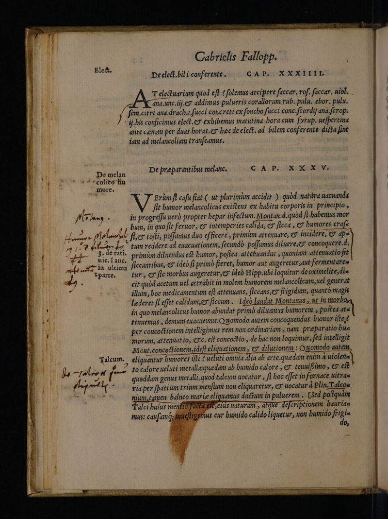 gU Duaprentos in] aMFDUt SORATIIO SLM memet soma SPP Qe quami meon à -w greet 4 Ele&amp;. Gabrielis Fallopp.' Deeledl. bil i conferente . CAP. XXXIIIL f De melan fém.citri ana.drach.t fucci concreti ex foncho fucci conc.fcordij ana.fcrop. ij.bis conficimus elect.ey exbibemus matutina bora cum. f'yrup. uefbertina ante cenam per duas boras.ey bec de elect, ad. bilem conferente dicta [jnt iau ad melancoliam tranfcamus. | De preparantibus melanc. CAP. XXX V. Anore. L—, Erim fl cafu fiat (. ut plurimum accidit ). quód. natüra uacuanda /.— fit bumor stelancolicus existens ex babitu corporis in. princtpto , in progrefJu uero propter bepar infectum. Montan.d.quód fi babemus mor bun, in quo fit feruor, e intemperies calida, c?' ficca , «y humores crafs ; AN re dies mi-q?- A Ay 3. de rati. $4 Uuic.íauc, Á * - mA x8 n ultima P) |. *parte, PU, Talcum. n gd », Ja Te reet (7 E tum reddere ad euacuationem, fecundo: poffumus diluere;e? concoqueve.d. primi diluendus et bumor, poftea. attetiuandus , quoniar attenuatio fit ficcantibus, «2 ideo [i primo fieret, bumor aut augeretur;aut fermentares tur , c fle morbus augeretur, ey ideó Hipp.ubi loquitur de oximelite;dis cit quüd acetum uel attrabit in molem bumorem melancolicum,uel generat illum, boc medicamentum eft attenuans, ficcans,ez frigidum, quantó magis Lederet [i effct calidum, e» ficcum . Ideà laudat Montanus , ut in morb in quo melancolicus bumor abundat primó diluamus humorem , postea ate £enuemus , demum euacuemus.Qnomodo auteim concoquendus bunor ifte per concoctionem intelligimus rem non ordinariam , nam praeparatio bus morum, attenuat io, e7'c. eff concodtio , de bac non loquimur; fed intelligit Mont.concoftionem, ideft eliquationem , €7 dilutionem : Quomodo autem, eliquantur bumores ifHi ? ueluti omnia alia ab arte.quedam enim à uiolene| fo calore ueluti metallasquedam ab buiido calore , c tenuiffito , €» est queddam genus metalli; quod talcum uocatur , fi boc effet in fornace uitrae via per [batium trium menfiuri non eliquarctur, «9 uocatur à PlinTalcos nium. tguien. balneo marie eliquamus du&amp;um in puluerem .. [Sed poftquam Tdi M UTERE sur atque deeriptionem baurias nua: caufam qs ipie] ltgerus cur bumido calido liquetur, non bumido frigis 0;