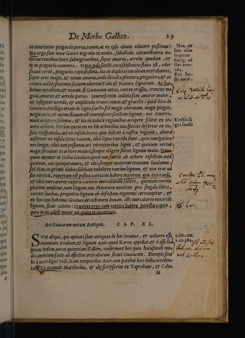 —— €o continetur pinguedo parua, tamen,ut ex ipfa oleum educere pofimus? | Not. de Ee ergo funt note Galaci nigredo in medio , fubalbida circumstantia itc P nd À tercurrentibus lineis fabnigrioribus, fapor amarus , «credo. quedam. , 2l: 2d i iu co pinguedo contenta. Note pali faricti.tota fub/lantia flaua ef , odor Gar.exer. r fvauis certe , pinguedo copiofisfima, ita ut duplicatum oleum extrabamus, n ; fapor acer magis, ey minus amarus,unde decocta pleniora,pinguiora, e ae Fh i PA eriora ualde; feutimus fuauem odorem: alis eft. Natura lignorum . At b ^ bemus uetuftum,ey nouum. fi Guatacum uetus, cortex crajJus, truncus ma ip ors Mese ea gnis,amaror,e7 acredo parua. Yuuenefcentis inditia funt amaror malor ,— ^ y 4 demus UE c infignior acredo, ey amplitudo trunci tenuis,ev gracilis : quod dico de : Guaiaco;intelligo etiam de ligno f«ncto.fed magis odoratum, magis pingue, magis acre,e7 minus flauum est iuuenefcens fanctum lignum . nos. tenerrie nera arbore. Verüm quoniam ex bis arboribus una fpecies defertur ex in« ] gm fancti fula HBifpaniola, uel ex infula beata, que disbant à noflra vegione , altera defertur ex infula Diui Yoannis, ideo ligna rancida fiunt , quia nauigatiox? ——'— | nes longe, idcó non po[Jumus uti recentioribus lignis , ez quoniam uirtus^, magis feruatur in arbore maiori femper eligere folent lignum maius. Nute/ quam utenaur in Italia Gualacoquod non fuerit ab. avbore. refectum ante quatuor, aut quinque antios, «y ideo femper maiorem truncum. laudamus ftd Not.in primis diebus folebant exbibere tantum lignum, &amp;' non erat u fi corticis, repertum est poflea corticem babere maiorem uim exiccandi, — Cev/Ac pn oid €? ide) mercatores cepere corticis mercaturam facere , quoniam cortex C ens e^ plurimi uenditur,nam lingum uto Mocenico uenditur pro. fingula libra , Eme s cortex duobus, propterea lignum ob defectum tegmenti corrumpitur , e à . €x boc non babemus Guaiaci decottionem bonam. isti mercatores excoriat ) : / lignum, ficut c&amp;tera : Quoties ergo cum cortice habere potestis Capite 5 Li ' bet, quia in £o ades? mator uis, quám in excoriato. i D orent An Guaiacum notum Antiquis. CAP. X L. Vnt aliqui, qui opinati funt antiquos de hoc locutos , ey uoluere effe, z-lib. tra. : inuentum Arabum,e7 lignum Auic.quod K«ron appellat,e d.effe li 1.02.384. 9/ A. gnum indum;uocat quinetiam Kallem, confirmant boc quia. buiu[modi ve X i «A tnt dicamentum facit ad affe&amp;tus articulorum. ficuti Gualacum .. Decepti fitit Col 7. l, bi à uoce ligni Indi, Nam temporibus Auic.non patebat bec india occidens tall Et quamuis Mattheolus, c7 alij fcripferint ex 'T'aprobane , €» Cales J H my qumsGb CES DENEN urne Ue RERO DER e 7p e Tem nig N 4 M oT 3 - d.n