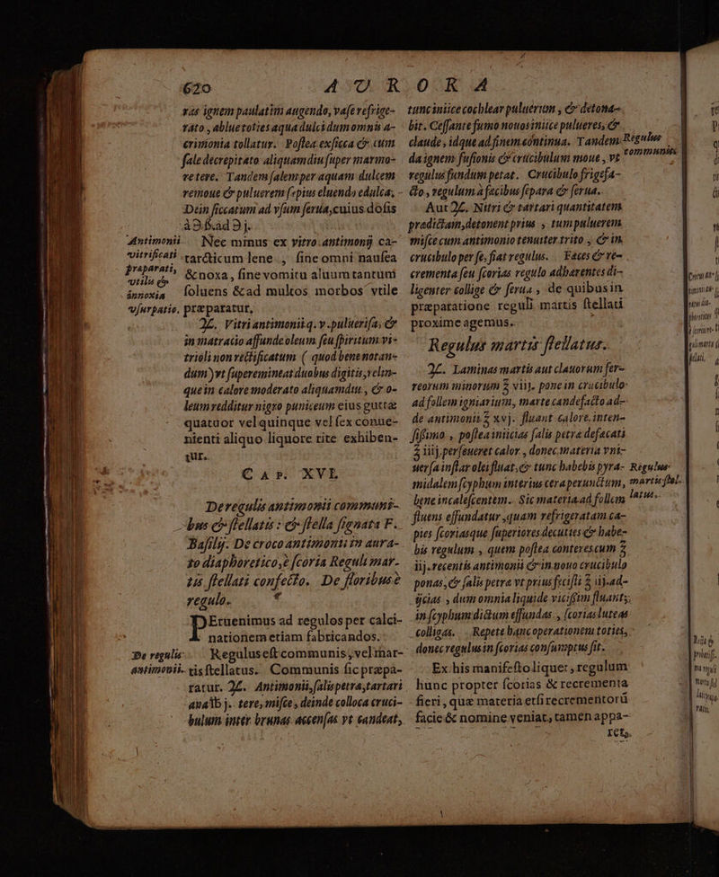 Vu mg tl a rni rar nt EE — À 3E : cU eiit i PIRE gua c 620 ras ignempaulatim augenda, vafe vefrige- vato , abluetoties aqua dulci dum omnis a- erimionia tollatur. Poflea.ex[iuca c eum vetere. Tandem falemper aquam dulcem Dein ficcatum ad vum ferua,cuius.dofis : 49d .ad Dj. | : Antimonii vitrificati -vrcticum Jene.,. fine omni naufea prapareth. e noxa, finevomitu aluum tantuni vila q^ d ámnoxia loluens &amp;ad mulos morbos vtile v[urpatie, pra paratur, 2E. Vitriantimenitq. v .puluerifa; c in matracdio affundeoleum feu pyrium.vi- trioli nonvettificatum (| quod benemotan dum)vt f(aperemintat duobus digitis,relin- quein caloreioderato aliquamdtu., € 0- leumredditur nigro puniceum eius gutta: quatuor velquinque vel fex conue- nienti aliquo liquore rite exhiben- Ur. | C X» XVEL Deregulis antinonii commauni- bns eo flellatis : ei flella fpenata F.. Bafily. De crocoantimoniizn aura- 20 diaphoretico,e [coria Regul mar. zs ffellati confecto. De floribuse regulo. BRE, F)Erüuenimus ad regulos per calci- : nationem etíam fabricandos. De regnli astimonii. tisftellatus. Communis fic prepa- ana3b j.. tere, mifée , deinde colloca cruci- bulum inter. brunas accen[as ye eandeat, tunc iniicecocblear puluerum , &amp; detoma- bit. Ceffante fumo nouosiniice pulueres; &amp;.— claude, idque ad finem eóntinua. Tandem: Régulus | da ignem: fuftonis c crücibulum moue , vg 1mm vegulus fundum petat. Crucibulo frigefa- &amp;lo , regulum a facibus fipara c [erua.. Aut 2. Nitri &amp; tartari quantitatem. pradictam,detonent prius, tumpuluerem. mi[ce cum antimonio tenuiter trito , C in. crucibulo per fe, fiat regulus. | Faces c ré- crementa (eu fcorias vegulo adbarentes di ligenter collige e ferus , de quibusin prapatatione reguli martis ftellati proxime agemus. | Regulus martis flellatus.. 2L. Laminas martis aut clauorum fer- reorum minorigm 2 vi), ponein cracibulo: ad follem igniavium, marte candefatto ad-- de autimoniz xvj. fluant calore. inten- fiffumo., poflea inticias falis petra defacati Z iij pereueret calor , donec.materia vnt- ser (a inflar oleifluat.cz tunc babebis pyra- Rigulue- midalem fcyphum interius cera pexunttum, snartie frac. bene incalefcentem.. Sic materia.ad follcim pe fluens effundatur ,quam vefrigeratam.ca- pies fcoriasque fuperiores decuties e babe- bis regulum , quem poftea conterescum 2. iij.recentis antimonii G'in.pouo crucibulo ponas, c falis petra vt prius ficifli $ ii)-ad- jjcias , dum omnia liquide viciffim fluantg;— im fcyphum didum effundas. , [coriasluteas colligas. ... Repete bancoperationem toties, donecvegulusin fcorias confuvzptus fit. Ex his manifeitolique: , regulum: liunc propter fcorias &amp; recrementa fieri, quz materia etfi recremerntorü. facie &amp; nomine veniat, tamen appa- ICto. Cni | gin A^ p. 2M n it | ghintité f i anim t jl marti (i Nie m ny rtu fr L