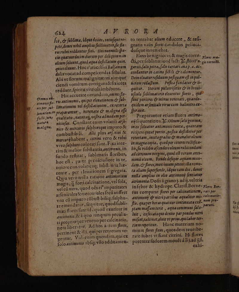 GRE fca , ev fablima, idque decies, sotiefque ve- pete donec wbil amplius fablumetur,fic fla- ves rubti redduntur fixi. Hosnonnulli fpa- cio quatuordecim dierum per deliquum in oleum [oluunt,quod aqua defiillatum quin. ieseluunt. Hoc Paracclfus Bal(amum dultévocatad.compelcendas fi(tulas. Alii vtflorum malignitatem vimque ciendi vomitum corrigant&amp;fxiores reddant,fpiritu vitrioliimbibunt. | Hicaccurate notanda mones flo- O mnes 4h- : d ^ |  imonii flo. 106 AWtimomt, quiper eleuationem d fub- lifmationem vel deflillationem , ex vetorta res per uo- | jimationz? praparantum venenata c ialigna effc niciofas. Conftant enim volatili ar/£- nico &amp; mercurio fulpbureque wmparo &amp; combuftibili. Alb; plus arf. mei &amp; mercurij habent , cditrint vero &amp; rubi vero fulpbure colorati funt. F;xa inte- rim &amp; melior fubftantia antimenit, in fando reftitat , fublimatis floribus, hoc eft, pait? pernicioftore in te. nuioteeius volaticaq; (abft.:nria hz- rente , per cleuationem f-gregata. Quia vero nulia ratione antimonitm magis , d forti calcinatione, vel fola, velcü nitro, quod o€s ei? impuritates aifenicales&amp;mercuriales (ecüauffert vna cüimpuro cóbuftibiliq; fulphu- reemendatur,feqnitur; quod fubli- mati flores func id; quod exuritur in antimonio,&amp; à quo ranquam peculia- ii proptioque veneno per calcinatio. nem liberat. Ad hos a:tem fleres, pertinent &amp; illi, qui per retortam vr- gentut. Vidienim quendom,qui ex (olo Antimenio abfq vllo additamen- I natura tn AL :gnà. to tentabat oleum educere , &amp; teli- gnatis vaíts fiers canididos peliuci- dofqueinueniebat. Flores benieniores &amp; is Cotre- : gniores &amp; magis corre Flores ma- Gi, perfablimationé facti 2. flibVn- p; corredti. cendantur in catino fictili c caleimentur. Dein eluatur refiduum poflquam efl inpul- tuerem vedacium..— Poftea fandatur c ü- quitur. terum puluerifetur C in breui- ufculo fablimatorio eleuentur flores , qui fiint puriores &amp;ininus venenati , quando- quidem ar[enicale virus cut balinitroex- [pirauit. | Praparantur etiam flores arimo- f (c quentitita.2Z.Oleum [alis gemma, in eo foluatur antimonii tanta , quantam recipere queat portio poftea def illerur per retortam ,iuxtagradus &amp; wianabit oleum dn tragna copia, quod per cineres rectifica- bie, fic videbis afcendere oleum vubitundum il ad citrintan vergens, quod es verum antt- niai ji moniioleum. Funde defuper aquam mun- rins dam, cr floresymox imum petenizilla.remo- ta aliam fuperfunde, idque vam diu , donec nulla amplius in olco autimons [entiatur acrimonia.Dofisàgranoj.adijveltria ^. | infebre &amp; hydrope. Clarifl.Borne- rz»; go- — | tus comparat flores per calcinationemy ver: per l antimontj Cr nitri pavtibus equaliter mi- caleimatio- fis quaper horas quatuor continuata exe- nb HT Yu d ptam majfaim terit , aqua communi fale- M fif luit , exficcataque denuo par pondus nitri fitu mifcet,calcinat,eluit vt priusqui labor ter- tinm repetitur. Hanc materiam no- rhinat flores fixos , quos dein reueibe- rare iubet vt fiant citrini. Hi flores potenter füdorem mouécá 5 j.ad 25. exhi-