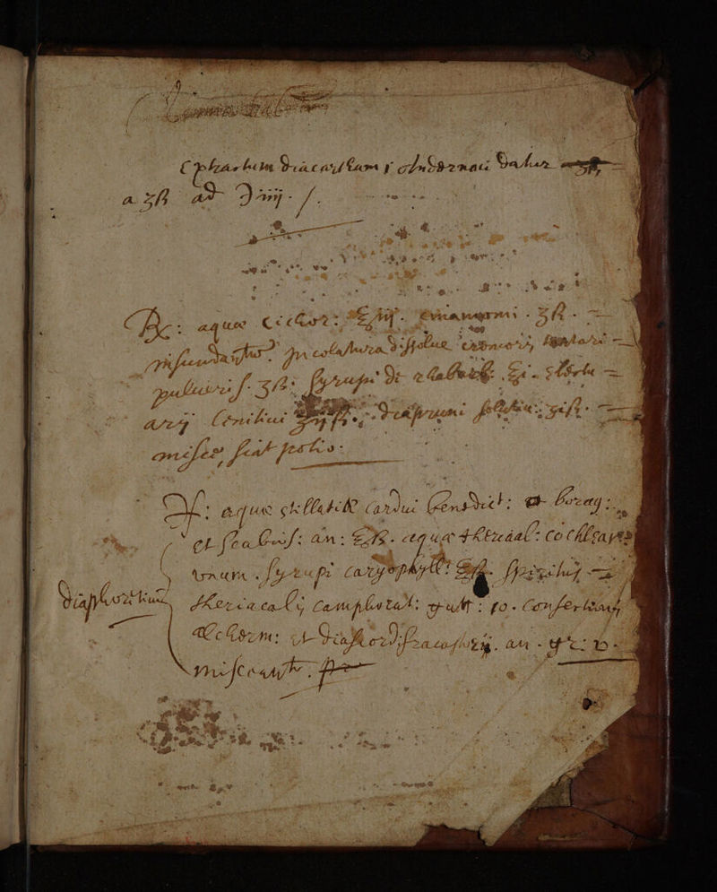 a. « UL) nur y ) / / a — : * 5 LJ i n o 5» 2 r.i ] e pu Nea Li es à) ; dy * » rH 9 * LP 4 P * X » k j € dC s; / ! . Pod  ^. t4 . PS , Ax » - E $ E j e Q H : : fen » 2 A ( d (A? ' C &amp; € 1.4) € ^ i on TA E Y 1 !. p 3 $8  t me [ i J 4 4 $11 |1 1 t ^ g , rd x gt 3 1 / $^ E  T. 1 3 ) * t J^  » P 5s » E 9 * 7 $ - P ACT iw B j , , 3 , $ T L- d. E p. 4 * E . A LU. €. ? * E T | A j ^ EF ,, n 424 PU DE ^ i NA T. E A ; tj ev nec MONA Q P /  T Re 4 €. e Jj EU on Er. - . &amp; ^  - E 4 al - 7 - : P 4 lj E 2 t A N ^ a E F- 4 N »74 *VCLÓA T4 44€ ? e. j  * ; t c / y / i É : T xd. H E 5 f T . /  3 CS €. € Á , i de 7. y B j^ n , 2] m  É 7 / H € JJ. ctq uec d KEzcdal- Co CÁLgA ye *  . $ ^ $ í LEM 7 ^ n Xiao EON ET Vea 5e ae | | CM. £ ([ Lo eI [V P Canduc iré ac ; E freq i d E SU. | / Y T j 7 47 /2 ., o0 ; t y, CaAzu9f dt le 2 . Hosvccloy —— Y 4r [4 ( VA «4 jJ Ha ' ü- Cf Üb (7 ra r / dE itc , -— j m C A Uva I : [o- 6«^7F€r AM b V 1 L/ X | ? XM. CA AMA / b^ £cl  n