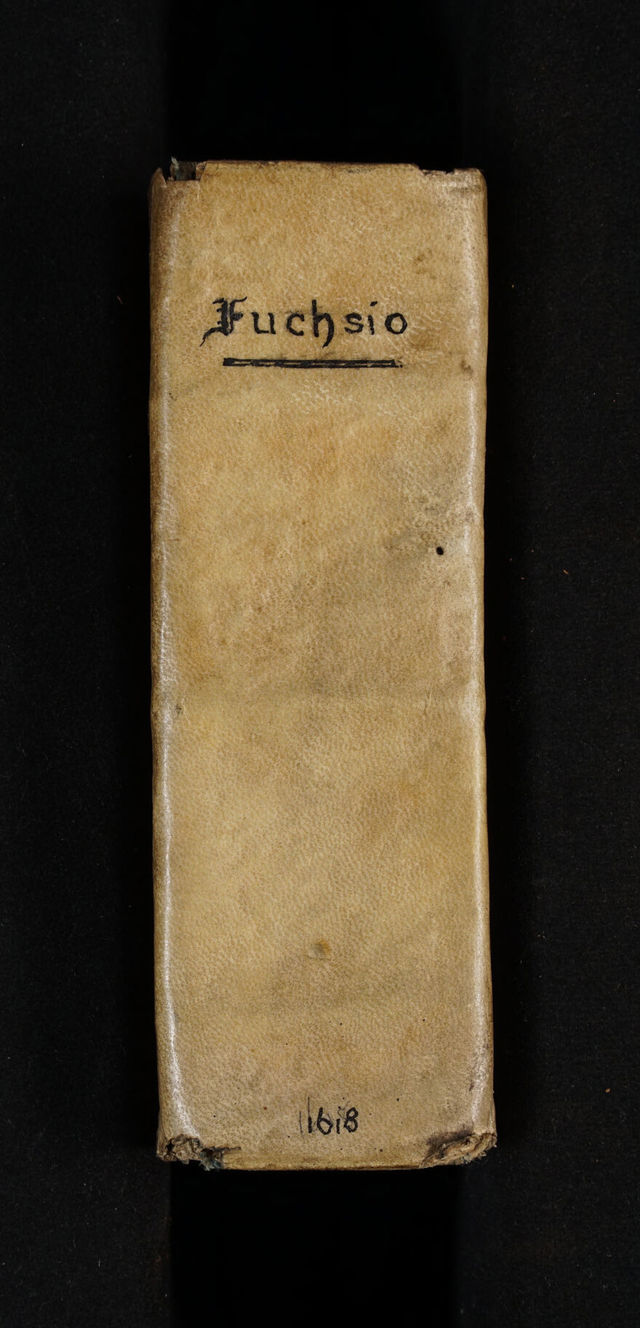 No text description is available for this image