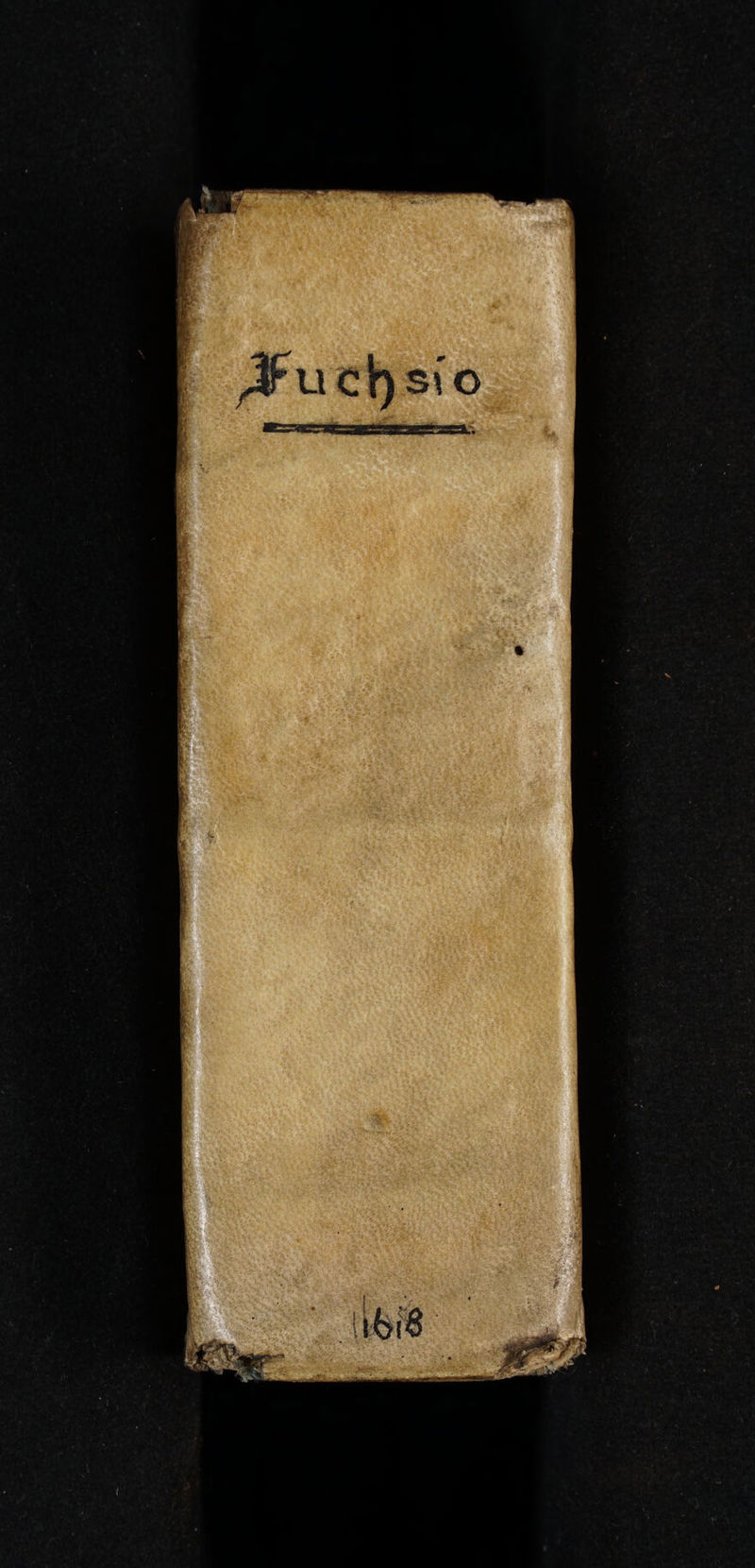 No text description is available for this image