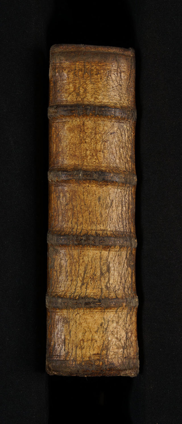 No text description is available for this image