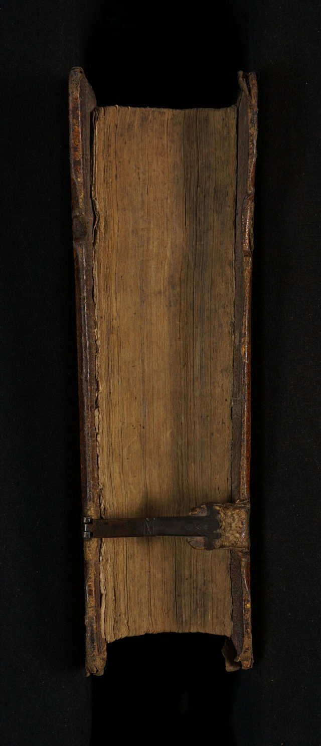 No text description is available for this image