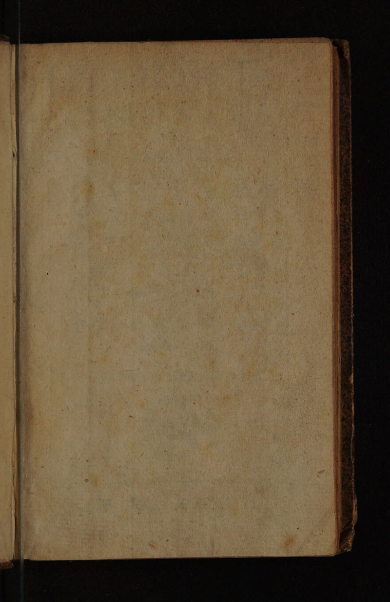 LS ET ESS Tone 0708 img mai