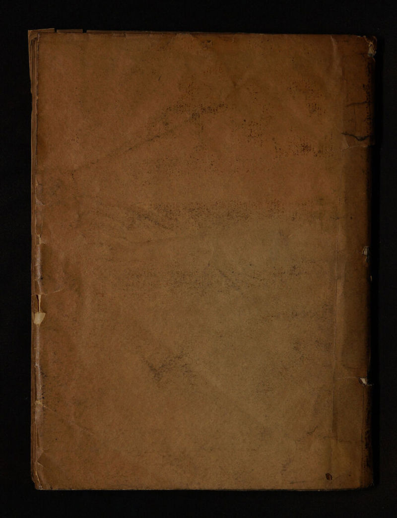 No text description is available for this image