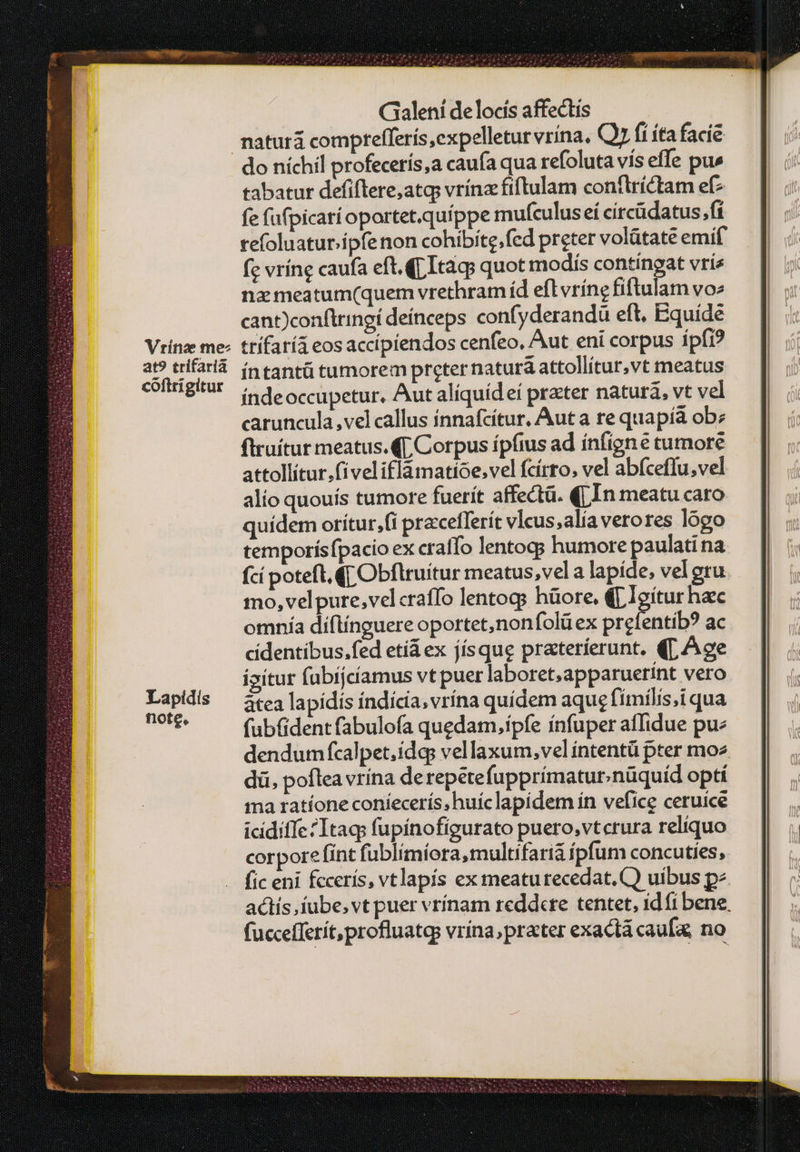 Vrínze mez at? trifarià coftrigitur Galeni de locis affectis do níchil profecerís,a caufa qua refoluta vís effe pu» tabatur defiflere,atq; vrína fiftulam conflrictam εἰς fe (ufpicatioportet.quíppe mufculuseí circüdatus fi refoluatur.ipfe non cohibíte;fed preter volütate emif ἴς vríne caufa eft.(p Itaqs quot modis contingat vriz nz meatum(quem vrethram íd efl vríng fiftulam vo: cant)confiringí deínceps confyderandü eft, Equide ttífarí4 eos accípiendos cenfeo, Aut eni corpus ipfi? íntantü tumorem preter natura attollitur,vt meatus índeoccupetur, Aut aliquídeí prater natura, vt vel caruncula ,vel callus ínnafcítur, Aut a re quapíà obz ftruítur meatus. «[, Corpus ípfius ad ínfign e tumore attollítur,fi veliflamatíoe;vel fcírto, vel abfceffu;vel alío quouís tumore fuerít affectá. (| In meatu caro quidem orítur,(i pracefferít vlcus,alía verores logo temporísfpacio ex craffo lentocg humore paulati na (cí poteft, (f Obflruítur meatus, vel a lapíde; vel gru mo, velpure,velcraffo lentogs hüore. (p Ioítur hac omnía diflínguere oportet,nonfolü ex nnd ac cidentíbus.fed etíá ex jísque prateríerunt. (p Ace izitur fabijcíamus vt puer laboret,apparuerínt vero atea lapidis índícia; vrína quídem aque fimílis,i qua fubfidentfabulofa quedam,ípfe ínfuper affidue pu dendumfcalpet.ídqs vellaxum,vel íntentü pter moz dü, pofleavrína derepétefupprímatur.nüquid opti ima ratíone coníecerís, huíclapidem ín vefice ceruice icidiffe Itaq: fupínofigurato puero, vterura reliquo corpore fint fublímíora,multifaria ipfum concuties, fic eni fccerís, vtlapis ex meaturecedat. C) uibus p^ actis, fube, vt puer vrínam reddere tentet, id (i bene, fuccefferít,profluatqg vrína, prater exact caufa, no