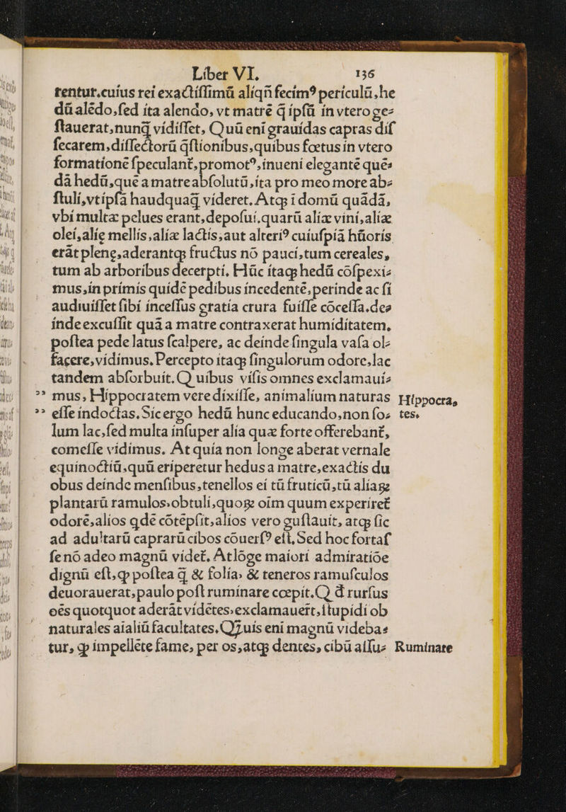 tentut.cuíus rei exactífTimü alíqnfecim? periculü,he düalédo.fed [τὰ alendo, vt matre q ípfü ínvterogee flauerat;nund vídiffet, C uü eni grauídas capras dif fecatem.diffectorü qflionibus.quibus foetus ín vtero formatione fpeculan£, promot?, inueni elegante qué: dà hedü,queamatreabfolutü,íta pro meo moreabe flulí,vtípfa haudquadq víderet. Atq; i domü quádi, vbi multa pelues erant;depofuí.quarü alia viní,alíae olei,alíe mellís;alía lactis;aut alteri? cuiufpíà hüorís erát plene,aderantq: fructus no pauci,tum cereales, tum ab arboribus decerptíi, Flüc ítags hedü cofpexi mus,ínprímis quíde pedibus íncedente,perinde ac fi audiuiffet fibí ínceffus eratía crura fuiffe coceffa.dee índeexcuflit quà a matre contraxerat humiditatem, poflea pede latus fcalpere, ac deínde fingula vafa ol facere; vídímus, Percepto itaq; fíngulorum odore.lac tandem abforbuit. C) uibus vífíis omnes exclamaui2 mus; Hippocratem veredíxiffe, anímalíum naturas lum lac.fed multa infuper alía qua forte offerebant, comefle vidimus. At quía non longe aberat vernale equínoctíü.quü eríperetur hedusa matre;exactís du obus deínde menfibus.tenellos eí t frutícü;tü alíagz plantarü ramulos:obtulí,quog oim quum experire£ odoré,;alíos qde cotepíit;alios vero guflauit, atq fic ad adu!tarü caprarü cibos couerf? ett, Sed hoc fortaf fenó adeo magnáü vídet, Atlóge maiori admiratioe dignü eft, qp poftea q &amp; folía: &amp; teneros ramufculos deuorauerat,paulo pofl rumínare ccepít.C) d rurfus οὖς quotquot aderát vídétesexclamauert.itupídi ob 2 w 9 v Híppocta,