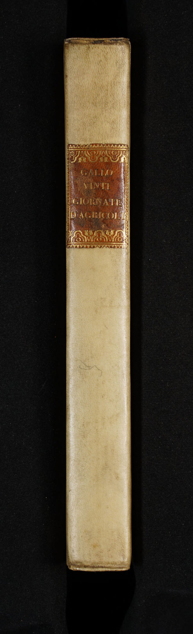 No text description is available for this image