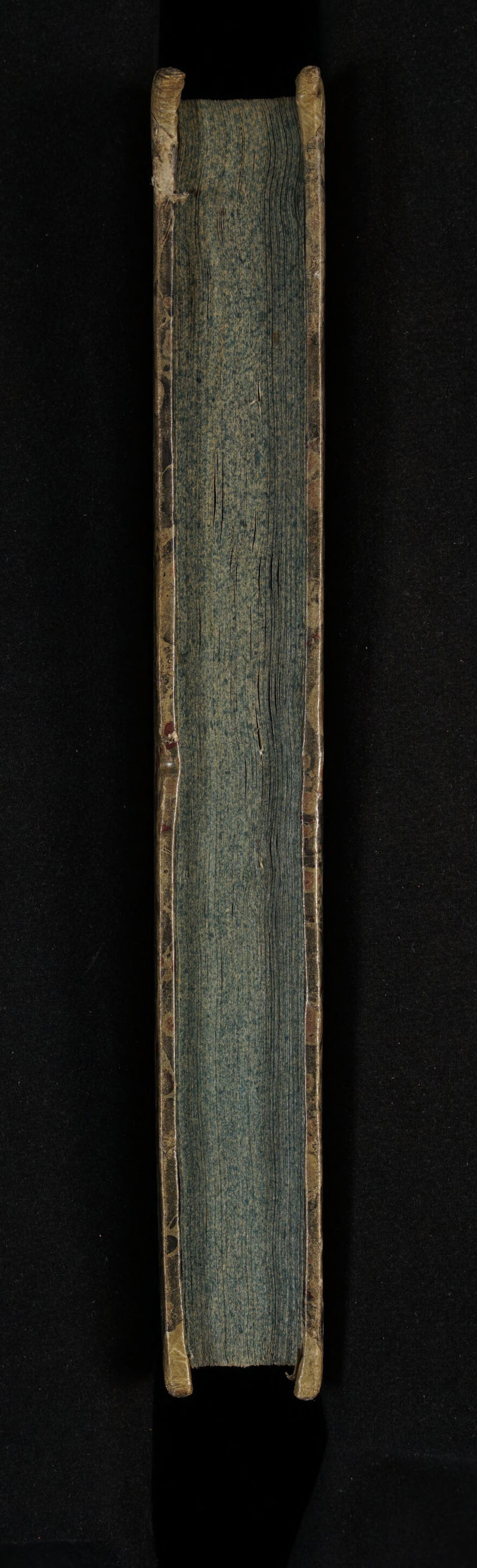 No text description is available for this image