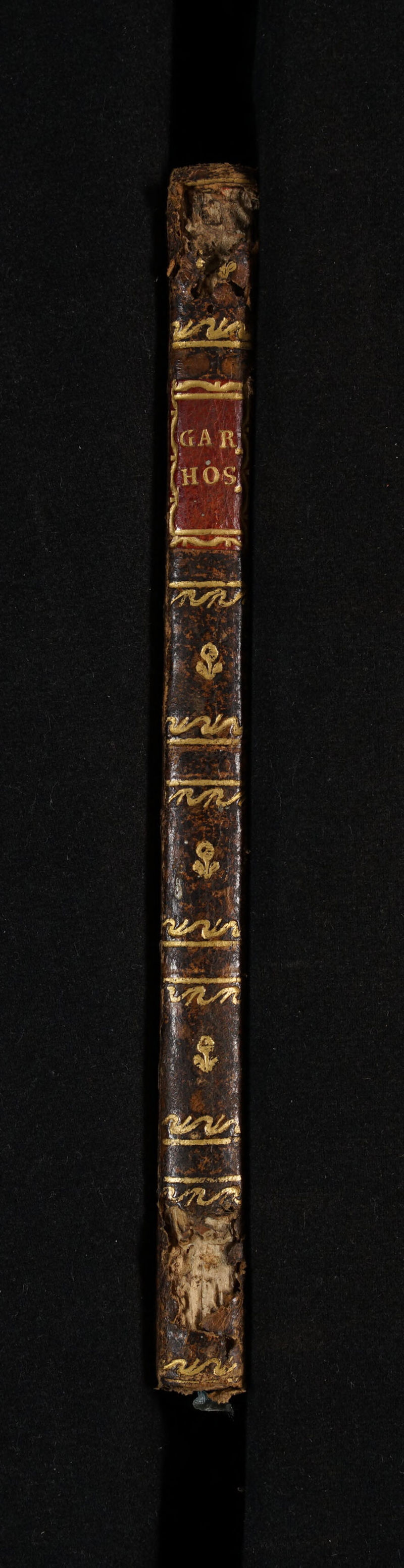 No text description is available for this image