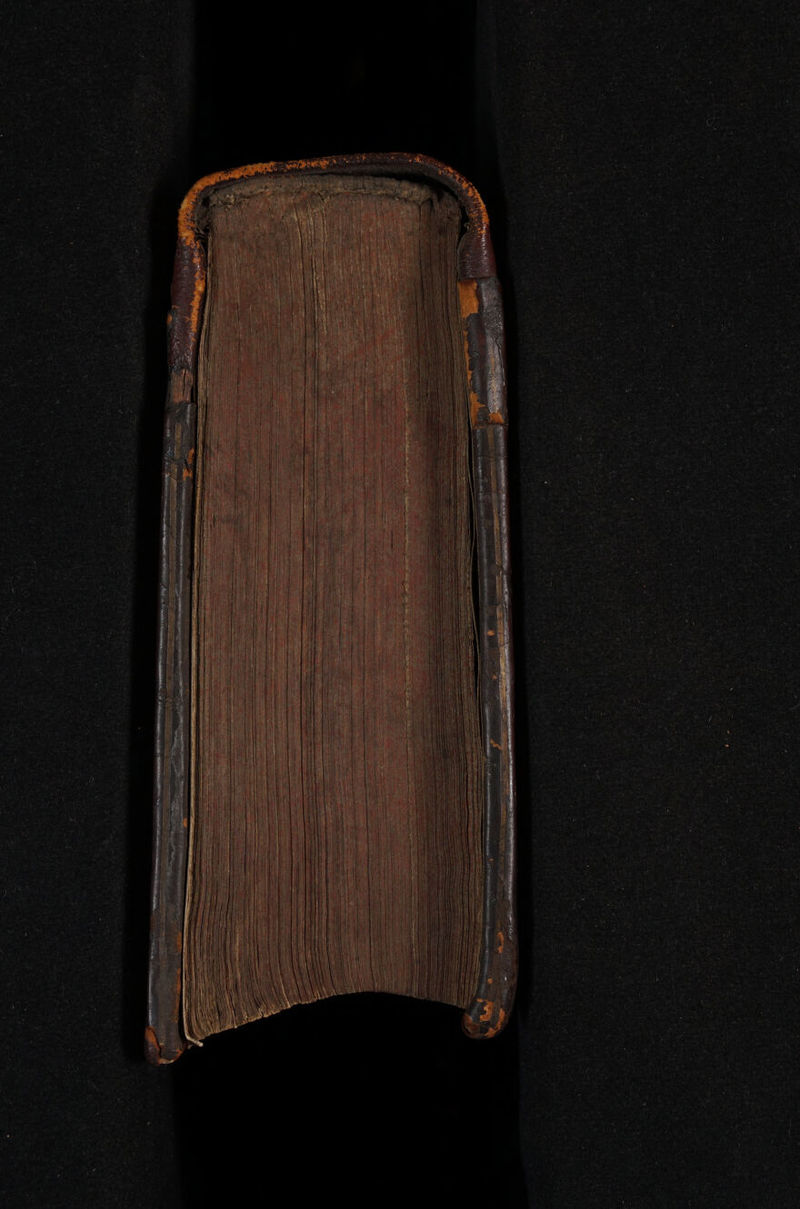 No text description is available for this image