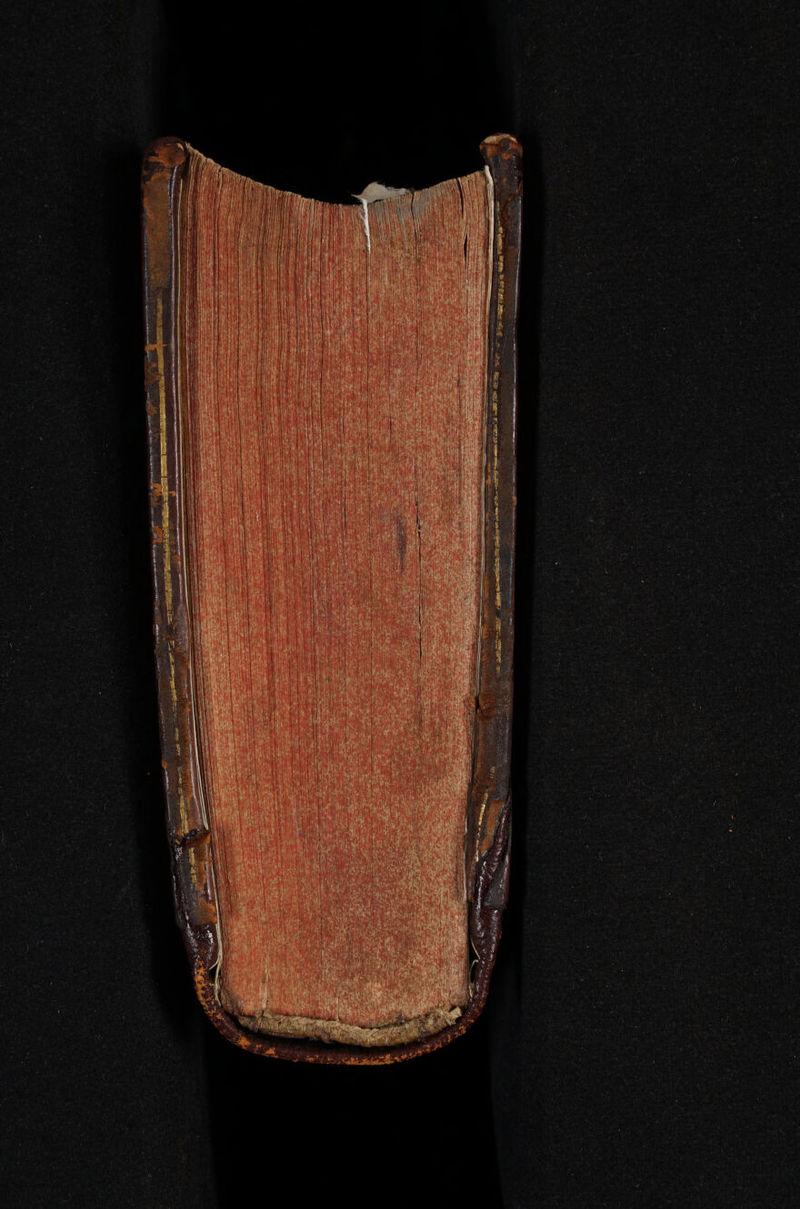 No text description is available for this image