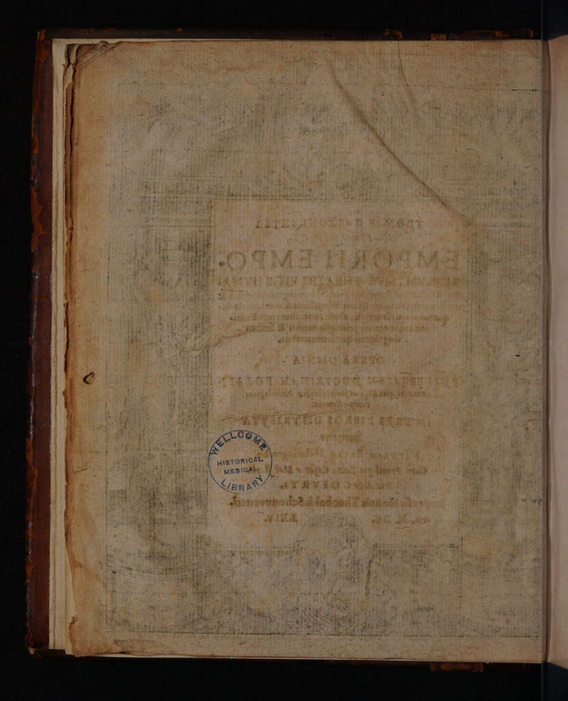 mal! em cai Me ELE : e TOMATES EUR nd IURI — — ———