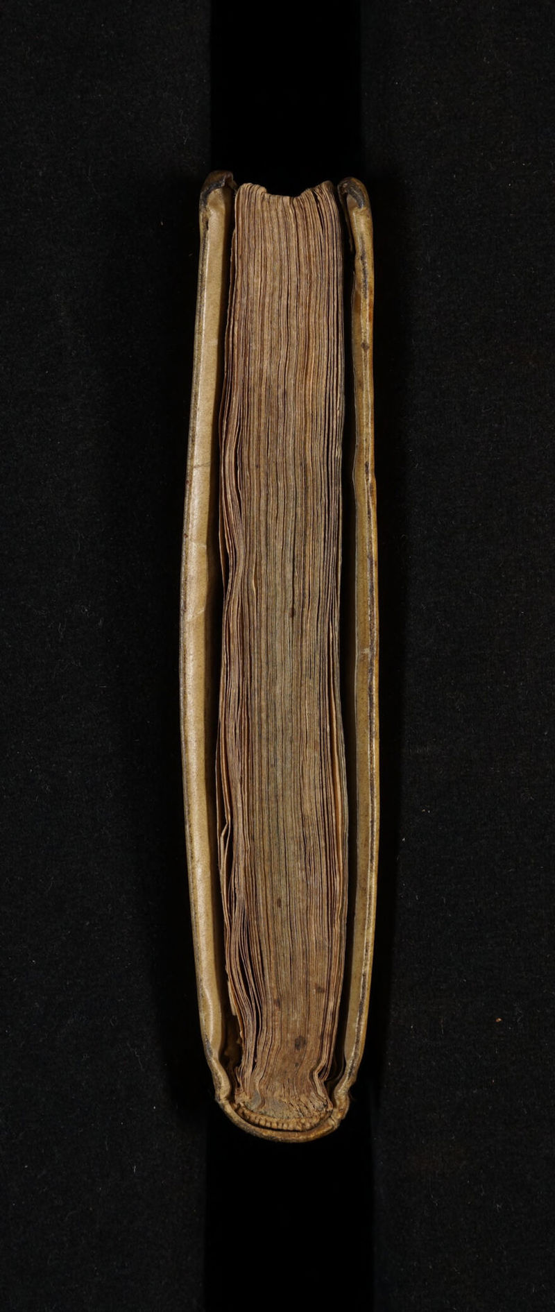 No text description is available for this image