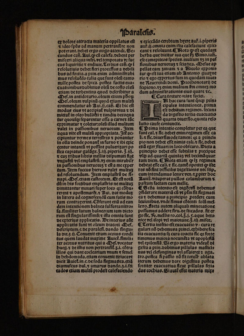 ex doloꝛe attracta materia oppilatus eft x ideo ſpũs ad manum pertranſi re non poterant.debet ergo oꝛigo attendi. Ge; cundus can. Aui.ꝙ cii calefa.oebent per miſceri aliqua infri.vel tempoꝛata vt ſuc cus liquiritie t endiuie.Tertius can. ꝙ ĩ reſolutiuis debet fierí pꝛoceffus a oebili bus ad foꝛtia.a pꝛin. enim adminiſtrabi mus reſoluẽdo talia que ſunt oleũ camo mille poſtea de ſpica. poſtea factis eua⸗ cuationibusdabimus oleũ oe cofto oleũ etiam de terbentins quod deſcribitur a Meſ. in antidotario.oleum etiam phoꝝ ¶Meſ.oleum vulpinũ quod etiam multti commendatur ab Aui.ij.cañ. Et hic eft modus eius vt accipiat᷑ vulpis viua ⁊ di mittat᷑ ín oleo bulliẽti ⁊ tandiu decoqua tur quouſq; ſeparentur offa a carne tũc exprimatur t coletur:oleũ illud multum valet in paſſionibus neruoxum . Item aqua vite eſt multũ appꝛopꝛiata. téac; cipiantur vermes terreſtres ponantur in olla deinde ponant in furno « ibi exic centur intantũ vt poſſint puluerísari po ſtea capiatur galãge.S;.iij.piperis. 5. iij. t cuz tribus libꝛis mellis diſpumati fiat vnguẽtũ vel emplaſtrũ.vʒ enim mirabilr in paſſionibus neruoꝛuʒ « eſt a me exper tum. Item fuccus hiereos valet multus ad refoluendum. Item emplaſtrũ oe fi^ na pi. Meſ.etiam caſtoꝛeum. Et eft notã dũ in his foꝛtibus emplaſtris ne multus dimittantur moꝛari fuper loco qꝛ cõbu⸗ rerent t apoſtemart᷑t.⁊ Aui. oat modus in littera ad cognoſcendũ cum ſatis mo ram controxerint. Cõferunt etiã ad eam dem intentionem balnea ſulfurea nitro: ſa.ſimiliter lutum balneoꝛum iam dicto de exterius applicatis. De interius aũt applicatis ſunt vt oleum diacoꝛi Meſ. deſcriptum.c.de paraleſi.dando ſingu⸗ la die.3 ij. Conuenit etiam acoꝛus condí tus quem laudat maxime Auic.ſimili⸗ ter acoꝛus nutritus quí a Meſ.vocatur hueg. ⁊ de iſtis non pertranfi£.5.i. cõtra illos qui oant coclearium vnum x femel in bebdomada.etiam eonuenit tiriacavt dicit Auict᷑.in.c.de ſoda flegmatica.etiã diamuſcus dul. ⁊ amarus oando.s.i.ftí x exiccãdo cerebꝛum here aur. i. piperis aur̃.ij.omnia enim iſta calefaciunt exic⸗ cant ⁊ reſoluunt. ¶ Mota o» eft quedam herba que dicitur iua ducts Simo. ian. eft camepiteos ſpecies. multum v5 in paf fionibus neruoꝛuz « ſciatica. Meſue ap pellat eam ziniam ⁊ a Nicolo exponi⸗ tur ꝙ eſt iua etiam ab Antonio guane rio z ego expertus fum in quodam iuue⸗ ne Reuerendi domi. P ꝛothonotarij de ſcipiono.vʒ enim multum fm omnes mo dum adminiſtrationis eius quare ⁊c. ¶ Cura toꝛture oꝛis⁊ faciet, — N hac cura ſunt q̃nq; pꝛin⸗ ua cípales intentiones, prima j| £s eft oebítum regimen. ſecun⸗ da digeſtio tertia euacuatio E11 quarta diuerſio.quinta refo lutio cauſe coniuncte. f — — Iu — — funt cal. x fic.oebet enim regimen effe ca li.⁊ ſic.diuerſimode tamen: qꝛ a pꝛinci⸗ pio non oebet effe nimis cali.⁊ ſic.debet etiã eger ſituari in loco obſcuro. Dieta a pꝛincipio debet eſſe ſubtilis ⁊ pꝛecipue vías ad quartã quintaʒ vel decimãquar tam diem. ¶ Nota etiam ꝙ lʒ regimen debeat effe cali.⁊ ſic.tamẽ õpoꝛtet qp iſte res nó fint difficilis digeſtionis nec ſtip. cum intendamus lenire ven.⁊ ꝓpter boc Auicẽ.vituperat pullos columbarum ⁊ paſtam factam cum melle. € Ga intentio eſt digõ:vñ debemus ofiderare materiã cũ vt plm fit flegmati ca x debemus a pꝛincipio ꝓcedere cum leuioꝛibus.vnde ſimus cõtenti ſolũ mel lero.facta autem aliquali minoꝛatione poſſumus addere ſiru.de ſticados fit er go fic. Re.mellis ro. col... $.aque beto nice vel iſopi vel maioꝛane.z.iij.miſce. ¶ Tertia intẽtio eft euacuatio v; cura re gulari nó debemusa pꝛinci.exhibere foꝛ tía euacuantia fs cura coacta ſic qꝛ foꝛte timemus maioꝛa nocumẽta vt apoplefi& vel epilenſiã. Si ergo materia videat᷑ di geſta a pꝛin.dabimus pillulas maſtici⸗ nas vel elefanginas vel aſſaieret s aga. tro.poſtea fi paſſio nõ ſit totalr ablata, iterum debemus dare digeſtiua poſtea foꝛtiter euacuatiua ſicut pillulas feti⸗