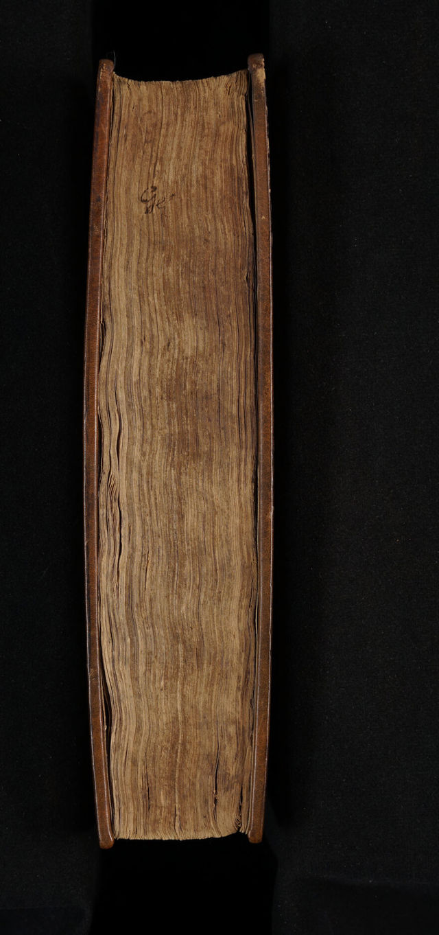 digitised image 3