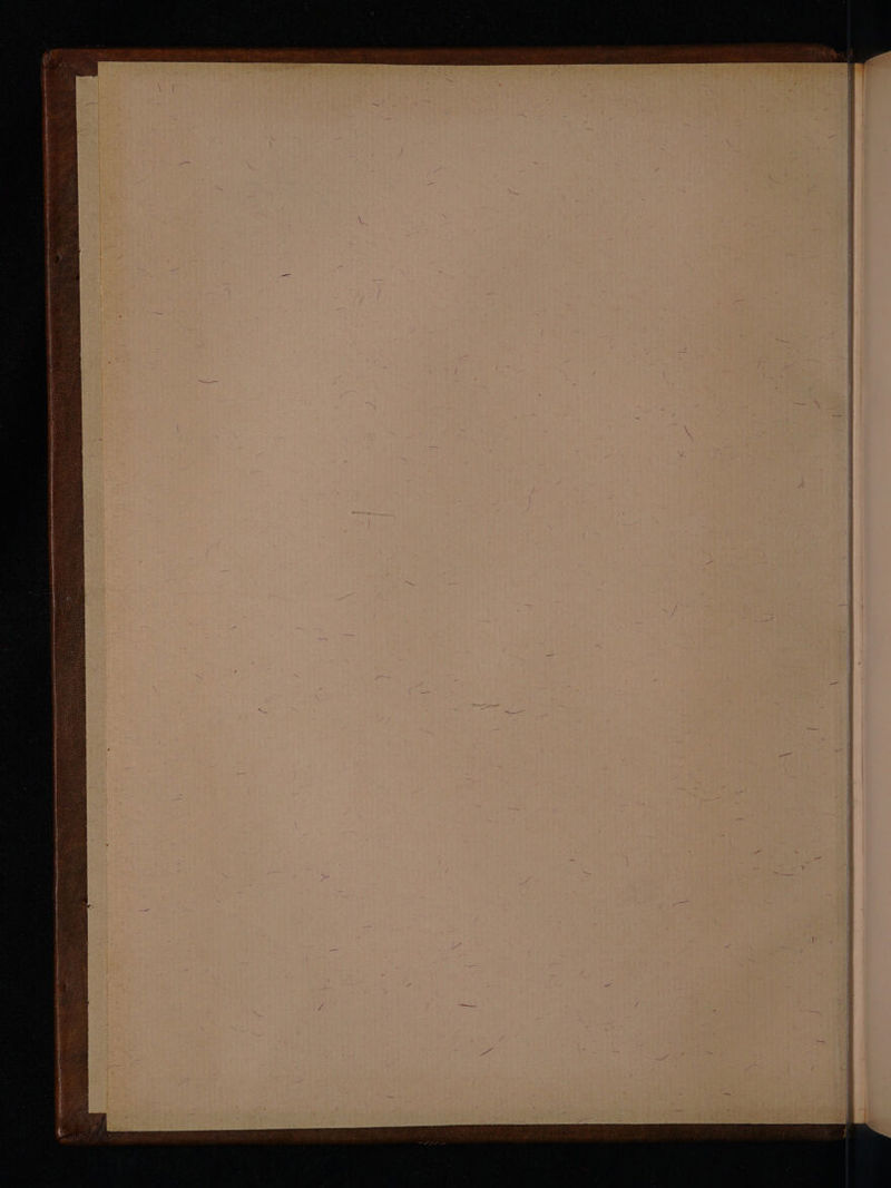 z darin scd e LA EAD a