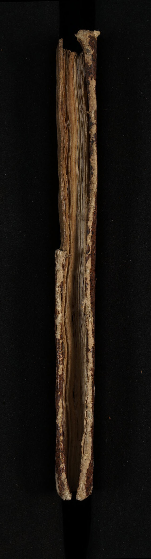 digitised image 3