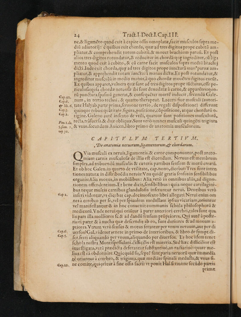 nc,&amp; ligaméto quod exit à capite offis omoplatz,facit mufculos füpra me- diü adiutorij: é quibus exit chorda, quz ad tres digitos prope cubità am- pliatur,&amp; comprehendit totum cubitü,&amp; mouet brachium paruü. Et poft alios tres digitos rotundatur,&amp; reducitur in chordá:que ingreditur,cü liga mento quod exit àcubito, &amp; cü carne facit mufculos fupra medii btachij dici Indeexit chorda,qua ad tres digitos prope iuncturá man?parue am- pliatur,&amp; apprehendittotam iunctura manus dictz.Et poft rotundatur,&amp; ingreditur mufculü in medio manüs;d quo chorde mouétes digitos exeüt.. Ex quibus apparct,vulnera quz funt ad tresdigitos prope iücturas,effe pe- .riculofa:quia chordz neruofz ibi funt denudatz à carne,&amp; apparétes:quo- Alc. rü panctura fpalmü generat, &amp; confequéter morte inducit - fecundü Gale- C56, Dum ,in tertio techni, &amp; quarto therapeut. Lacerti fiue mufculi (autori- €» lib. c, tate Halyab.parte prima, fermone tertio , de regali difpofitione) differunt Cap3. quinque rebus:quátitate,figura,pofitione;c ópofitione, atque chordarü o- Capi. rigine. Galeno auté in fexto de vtili, quatuor fünt pofitiones mufculorá,, Fe». 1.do, Tecta; trafüerfa.&amp; dux obliquz.Sunt veró:omnes mufculi quingéti triginta ffum. ;, &amp; vnus.fecundum AuicenJibro primo de anatomia mufculorum; sap jo. | Cub lp Folgq Bru BOROLIEBMG. , 4De anatomia neruorumyligamentorumyqt chordarum. Via mufculi ex neruis,ligamentis,&amp; carnecomponuntur,poft anato- miam carnis mufculofz de illis eft dicendum. Neruus cft membrum fimplex,ad tribuendü mufculis &amp; cateris partibus fenfum &amp; motü creatü. Et obhoc Galen.in quarto de vtilitate, cap.nono,dicebat: Tres füntinten tionesnaturz in diflribuédis nervis: Vna quidé gratia fenfusin fenfibilibus organis: Alia motus,in mobilibus: Alia veró in omnibusaliis,ad digno-. tionem offendentium.Et bene dicit,fenfibilibus : quia neque cartilagini- bus neque multis carnibus glandulofis inferuntur nerui. Dentibus veró €a2. inferi videntur,vt dicebat cap.decimofexto libri allegati. Nerut enim om |. ncesà ccerebio per fe,vel per fpinalem medullam ipfrusvicariam oriuntur vel manifeftantur:&amp; in hoc conuenit communis fchola philofophorü &amp; medicorü. V nde nerui qui oriütur à parte anteriori cerebri;talesfunt qua. lis. pars illa molliores fc.&amp; ad dandü fenfum próptiores. Qui auté à pofte- riori parte &amp; ànucha qux defcendit ab. eo, fünt duriores &amp;ad motum a- tiores. Vtrum veró fenfus &amp; motus ferantur per vnum neruum;aut per-di CaP.6.^ uerfos?Gal.videtur tenere in primo de interioribus, &amp; libro de fympt.di- €ap.5.  fcr ferri aliquando per vnum;aliquando per diuerfos, Et hoc idem tenet Íchola noftra Montifpeffulani.difficilis eft materia. Sed hzc difüicilior eft ipuefligata,vtrü predicta deferantur fübftantiuc;an radiatiué: quare me- liuscft e3obdormire.Quicquid fic fepte fünt paria neruorü quz immedia té oriuntur à cerebro, &amp; triginta;quz mediate fpinali medulla;&amp; vnus fi- €4».10.. ne comite,quioriturà fine offis facri: vt ponit Hal.fcrmone fecüdo pártis primos
