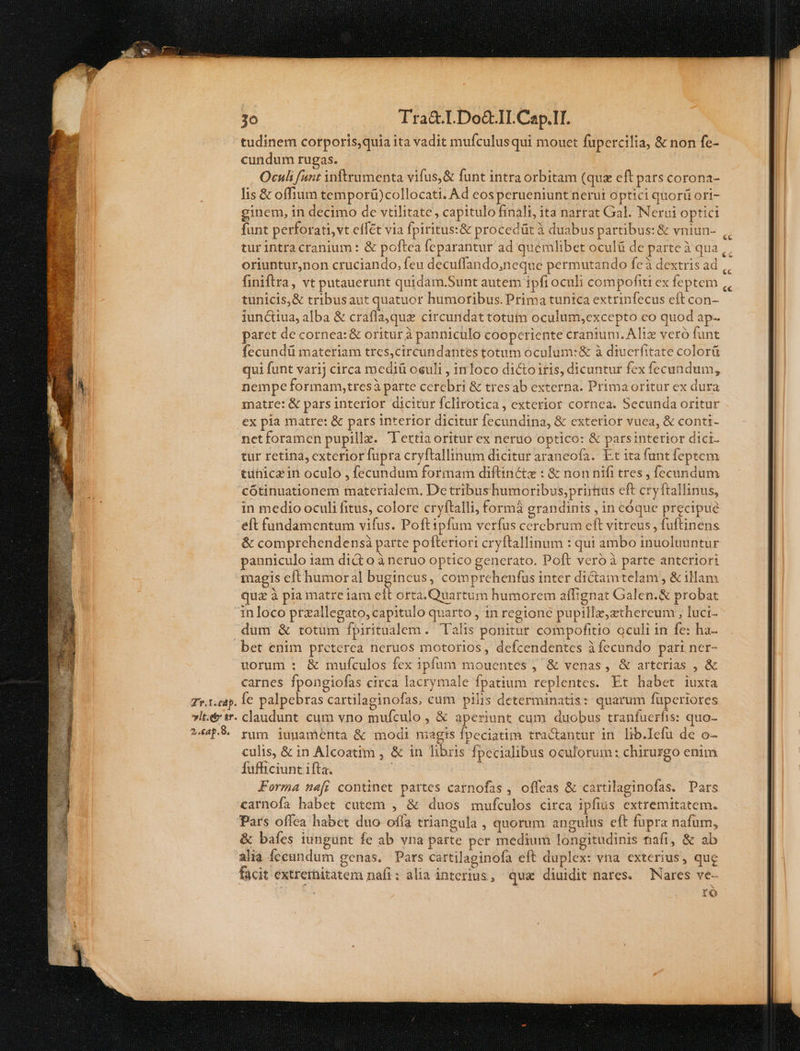 tudinem corporis,quia ita vadit mufculusqui mouet fupercilia, &amp; non fe- cundum rugas. | Oculi fant inftrumenta vifus,&amp; funt intra orbitam (quz eft pars corona- Iis &amp; offium temporü)collocati. Ad eosperueniunt nerui optici quorü ori- ginem, in decimo de vtilitate, capitulo finali, ita narrat Gal. Nerui optici funt perforati, vt effet via fpiritus:&amp; procedüt à duabus partibus: &amp; vniun- 2i tur intra cranium: &amp; poftea fcparantur ad quemlibet oculü de parte à qua ,, oriuntur,non cruciando, feu decuffando;neque permutando feà dextris ad ,, finiftra, vt putauerunt quidam.Sunt autem ipfi oculi compofiti ex feptem ,, tunicis,&amp; tribusaut quatuor humoribus. Prima tunica extrinfecus eft con- iunctiua, alba &amp; crafla,que circundat totutn oculum,excepto eo quod ap- paret de cornea: &amp; oritur à panniculo cooperiente crantum. Aliz vero funt fecundü materiam tres,circundantes totum oculum:&amp; à diuerfitate colorü qui funt varij circa mediü oeuli , inloco dictoiris, dicuntur fex fecundum, nempe formam,tresà parte cetebri &amp; tresab externa. Prima oritur ex dura matre: &amp; pars interior dicitur fclirotica, exterior cornea. Secunda oritur ex pla matre: &amp; pars interior dicitur fecundina, &amp; exterior vuea, &amp; conti- netforamen pupillz. Tertia oritur ex neruo optico: &amp; parsinterior dici. tur retina, exterior fupra cryftallinum dicitur araneofa. Et ita funt feptem tüniczin oculo , fecundum formam diftinctz : &amp; non nifi tres , fecundum cótinuationem materialem, De tribus humoribus,prirtus eft cryftallinus, in medio oculi fitus, colore cryftalli, formà grandinis , in eóque precipue eft fundamentum vifus. Poftipfum verfus cercbrum eft vitreus , fuftinens &amp; comprehendensà parte pofteriori cryftallinum : qui ambo inuoluuntur panniculo iam di&amp; o à neruo optico generato. Poft veró à parte anteriori magis eft humor al bugincus, comprehenfus inter dictamtelam , &amp; illam qua à pia matre iam eft orta.Quartum humorem affignat Galen.&amp; probat 1inloco przallegato, capitulo quarto , tn regione pupillz,ztherceum , luci- - dum &amp; totum fpiritualem. Talis ponitur compofitio oculi in fe: ha- bet enim preterea neruos motorios, defcendentes ifecundo pari ner- uorum : &amp; mufculos fex ipfum mouentes ; &amp; venas, &amp; arterias , &amp; carnes fpongiofas circa lacrymale fpatium replentes. Et habet iuxta Tv.T.cedp. fe palpebras cartilaginofas, cum pilis determinatis: quarum füperiores »ylt.&amp;tr. claudunt cum vno mufculo , &amp; aperiunt cum duobus tranfuerfis: quo- ?«4P5. rum ijuguaménta &amp; modi magis fpcciatim tractantur in lib.Iefü de o- culis, &amp; in Alcoatim , &amp; in libris fpccialibus oculorum : chirurgo enim Íufficiunt ifta. : | Forma neft continet partes carnofas , offeas &amp; cartilaginofas. Dars carnofa habet cutem , &amp; duos mufculos circa ipfius extremitatem. Pars offea habet duo offa triangula , quorum angulus eft fupra nafum, &amp; bafes iungunt fe ab vna parte per medium longitudinis fiaft, &amp; ab alia fccundum genas, Pars cartilaginofa eft duplex: vna exterius, que facit éextretnitatem nafi: alia interius, qua diuidit nares. — Nares ve- | rÓ ^ -—T x * * - x1 tue ERST , LXZECI ; S oce EIS S er LXI T. ' m. M e le rtr. ^. * - ? LI BIOS i: 15. pe ERgu m Vemm clEERC v cx M MM MX — —À— E ——- --— NHIewerióla on vperas -: —— z , z dee ce —— zÁ ;, delia ilt go Ex 7a p »