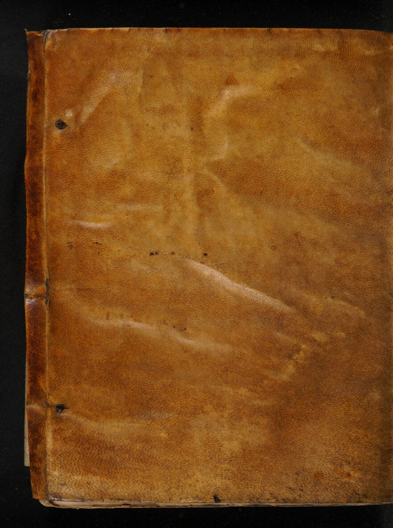 No text description is available for this image