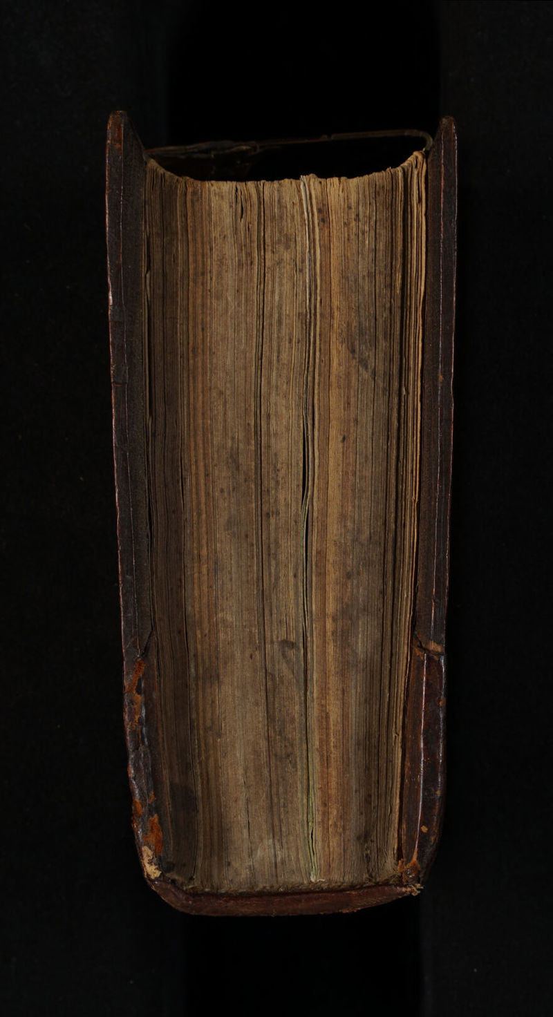 No text description is available for this image