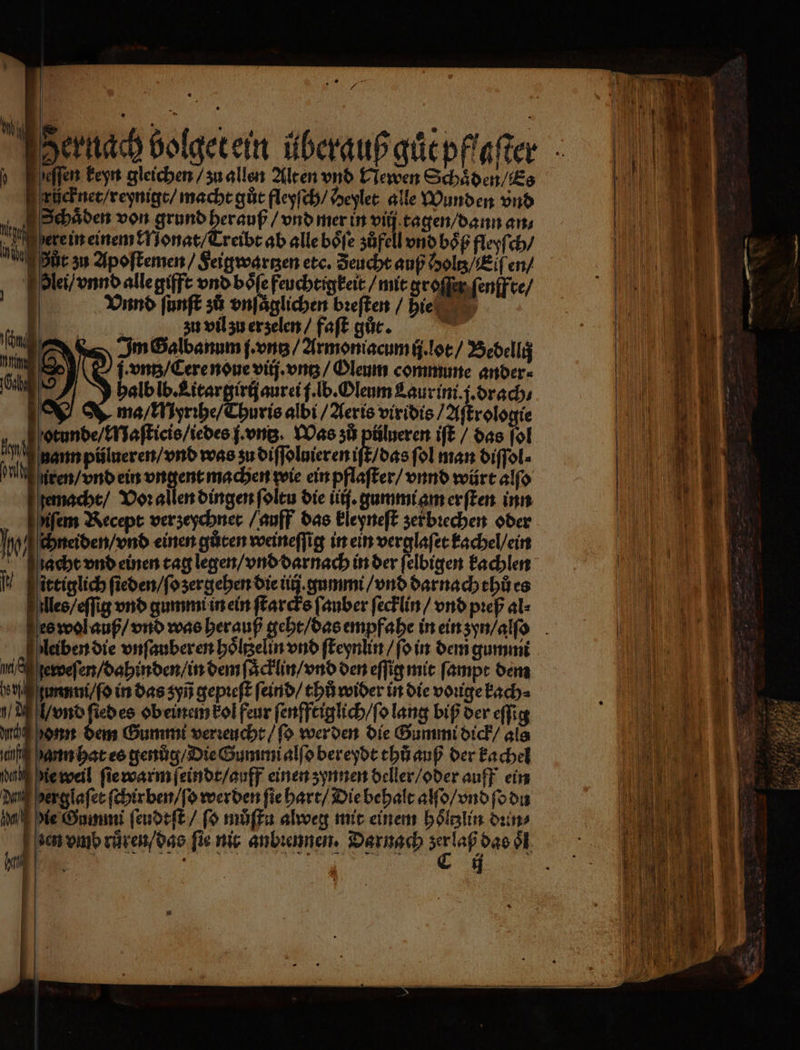 0 ee „ 425 | Hernach bolget ein überauß guͤt pflaſter 0 Nr 1 ih roſſſ ſenff te / n N | Ming LS Wu 19) Ey U | ori in ß das oͤl 10 | N