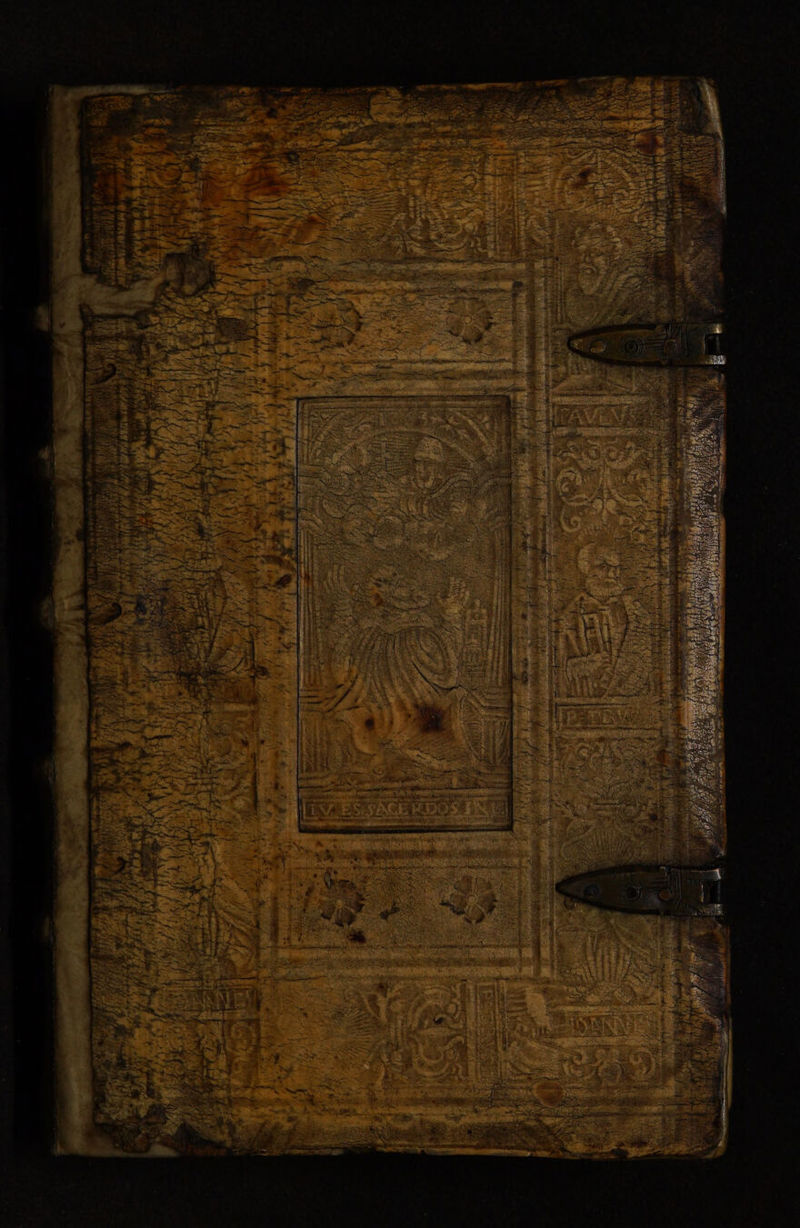 No text description is available for this image