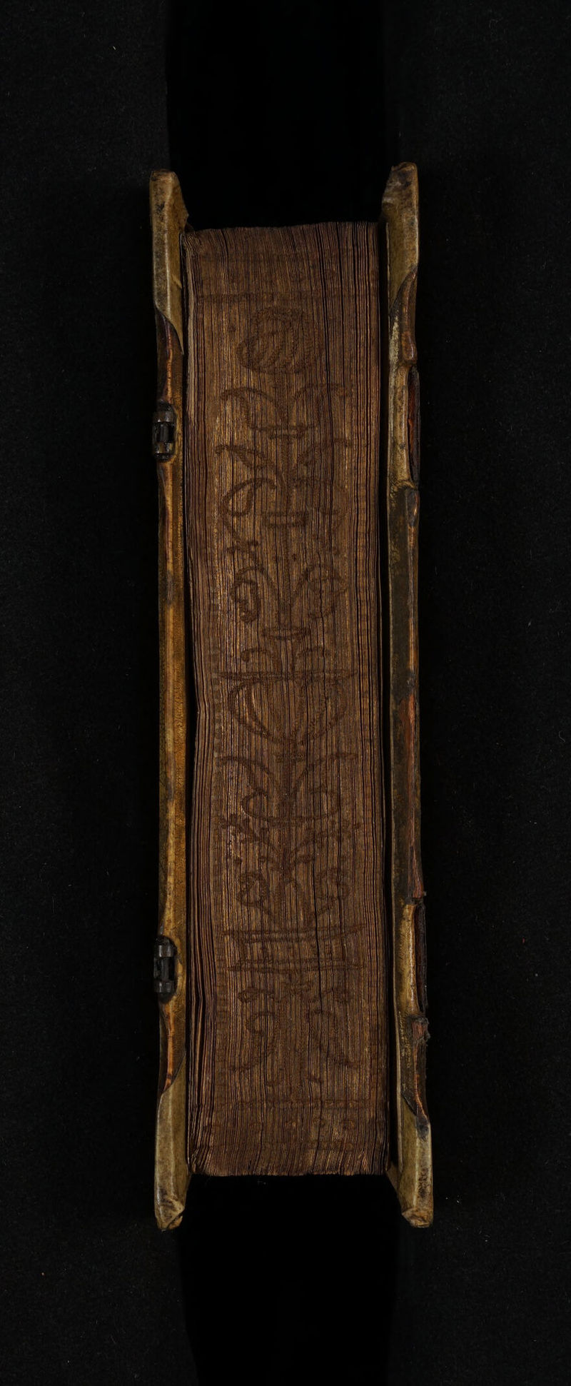 No text description is available for this image