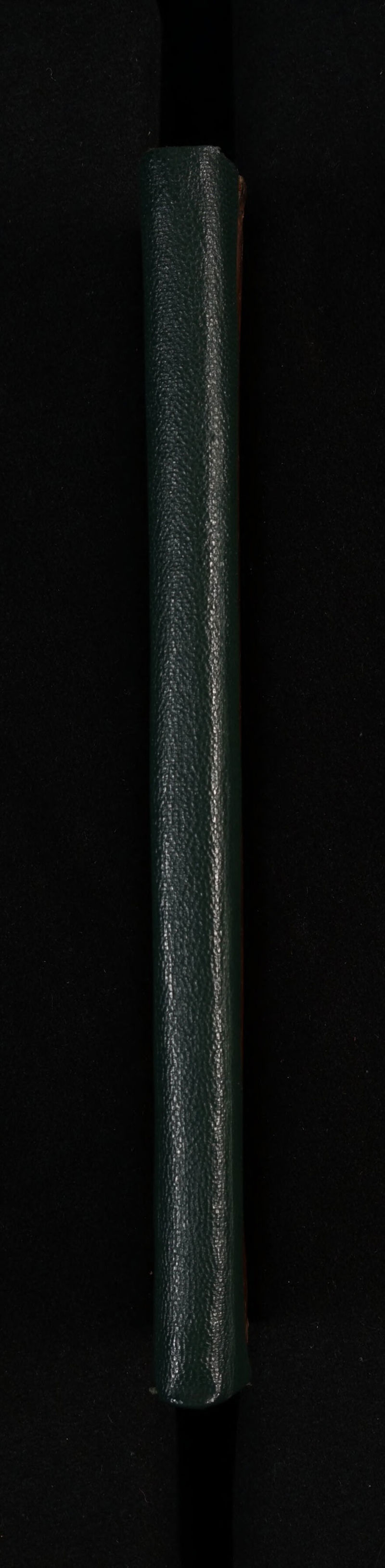 No text description is available for this image