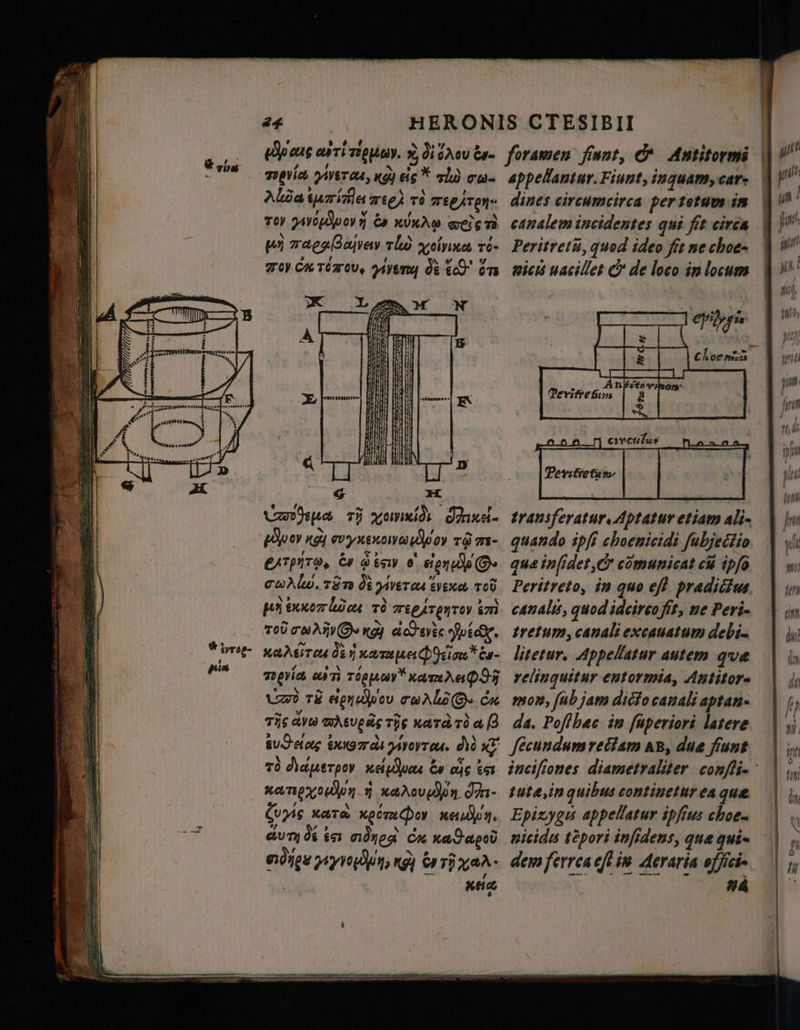 44 ep ous ai ri ni? di lou bre varia peras, кд) els * al - Aa битийн ree) тд лердтру- тоу ei бә j Q were à wn aea Davey thd yvolyine to- TOY CA TOMO, vit de dc om 3 * Gepa тў omnid OM {ооу қай cvyusxowauWoy тб m- EATPNTO, Es g ёту 6 бірл д D» соХ00,т8т de дутал even тоў por k tt тд re Em 7o0 TATION қой eco avec Nick. Ka MIT (4 d N халине Doa ёв- mera un rogue x N. Ni (242 TE apyu pou cu Abas cx ~ Y ~ ~ TÄS aves MAEUpaS Tig nera ro а {3 > , > * 7 \ 090 Go rat ууоутан. 20 х7 X ГА ГА » de | TO diuerpor et бра En ойс Est XATIR XO. νν,ν,ñbn n- ГА * , Guns ката хост Фор napr. “/ 7 s ~% aut ot es лдей Cx ха N po 7 ! fs ogg иуи, «gj er r хал- к ; кие foramen fent, © Antitormi dines circumcirca per totum in canalem incidentes qui fit circa Peritretũ, quod ideo fit ne choe- pich uacillet &amp; de loco in locum е, &amp; m ч АЛЕ ёо тта Феуітебіт | X $ transferatur, Aptatur etiam ali- quando ipfi choenicidi fubjectio que inſidet, &amp; comunicat сй ipfo Peritreto, in quo еј? prædictus canalis, quod ideirco fit, ne peri- tretum, canali excauatum debi litetur. Appellatur autem que relinquitur entormia, Antitore mom, [üb jam ditto canali aptan- da. Poffhac іп fuperiori latere fecundum rect am AB, due fiunt tutæ, in quibus continetur ea que Epizygu appellatur ipfius choe- nicidis tépori infidens, que gui~ dem ferrea eft in Acraria officis 74 ut pun fore 1 h (P niu