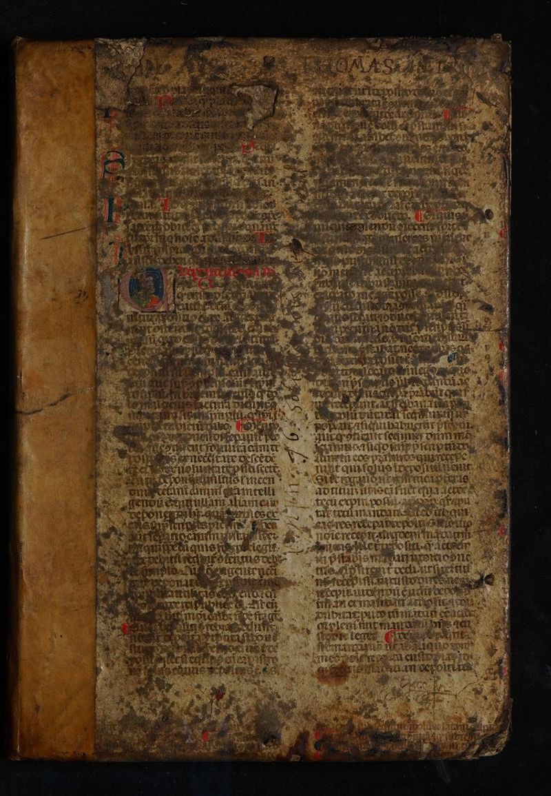 No text description is available for this image