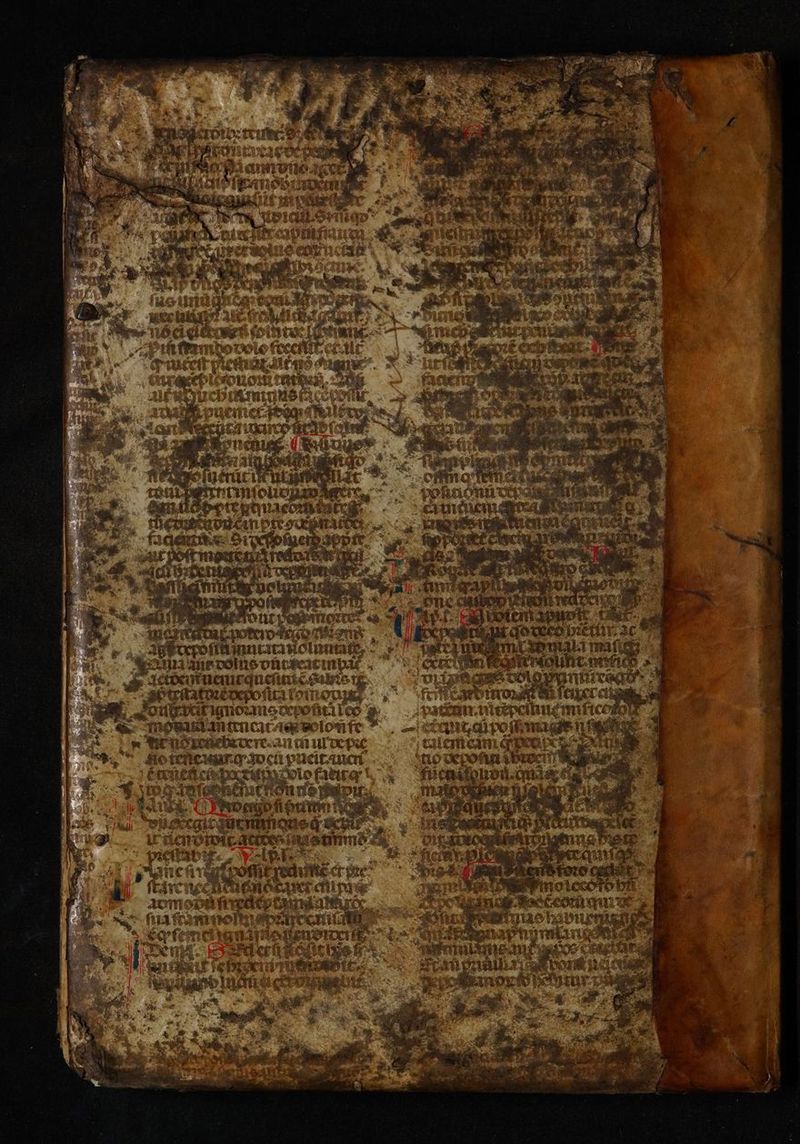 ge Pignoudts | mon iamteücacaec solom fe TN) iw mc etlebrrere.anmurdepe N. Seen en ꝓueit auen | 5 SUN