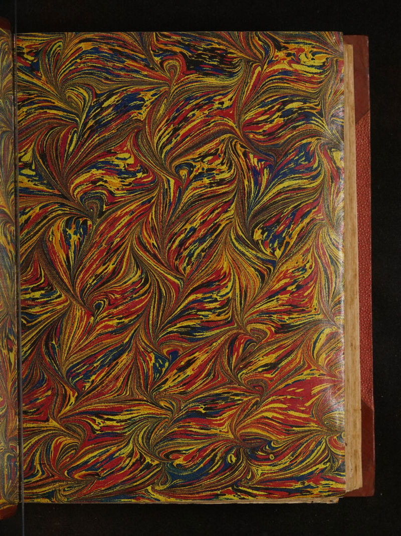 No text description is available for this image