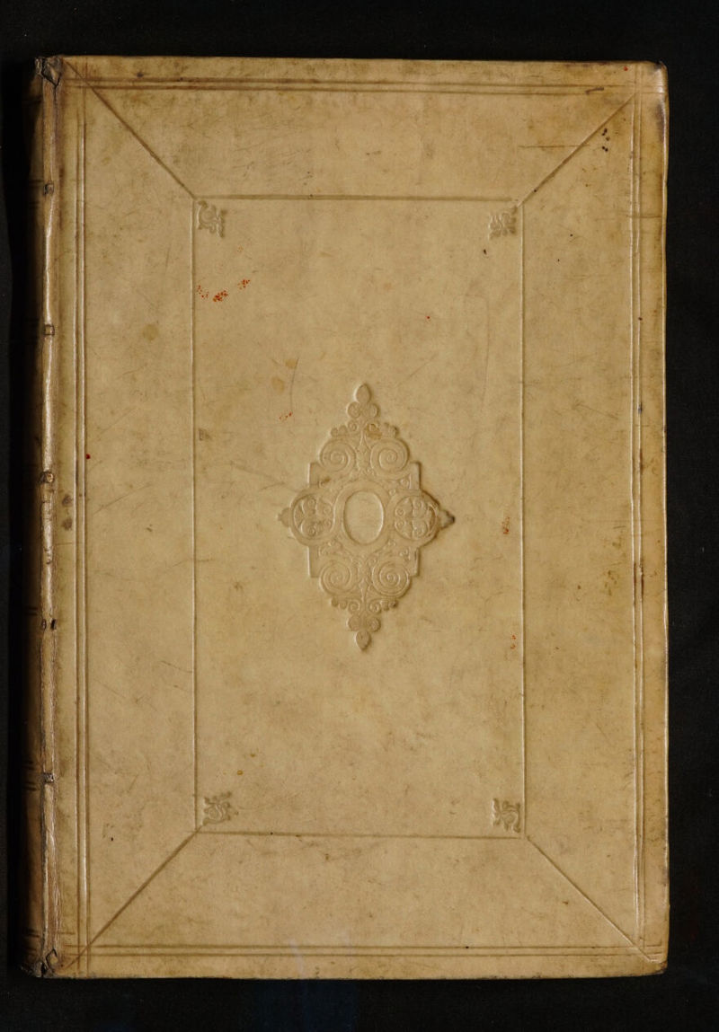 No text description is available for this image