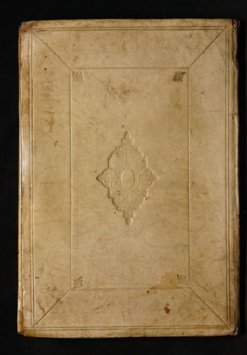 No text description is available for this image