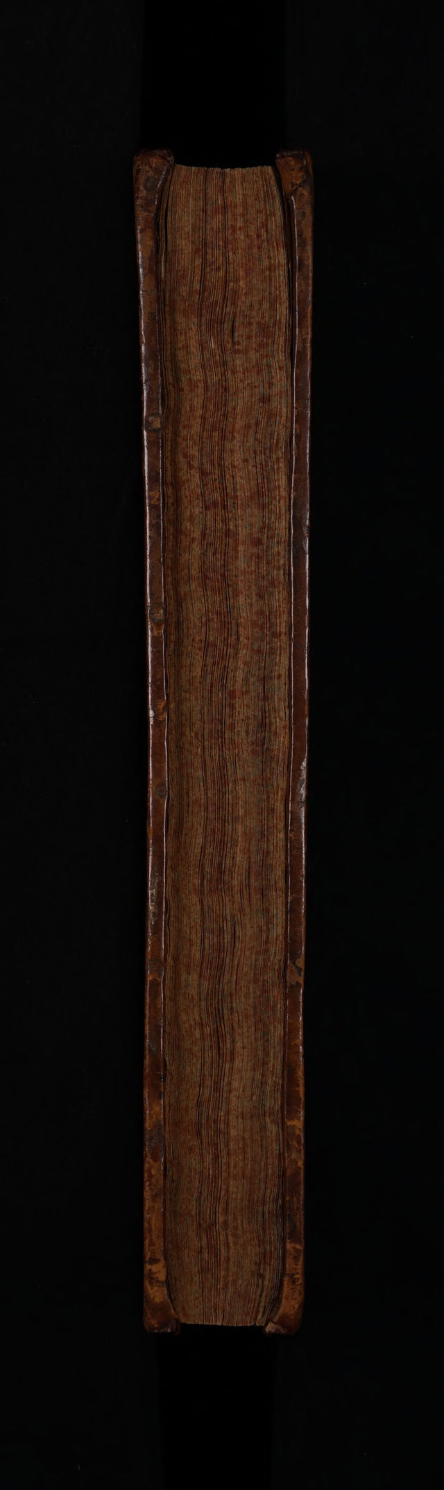 digitised image 3