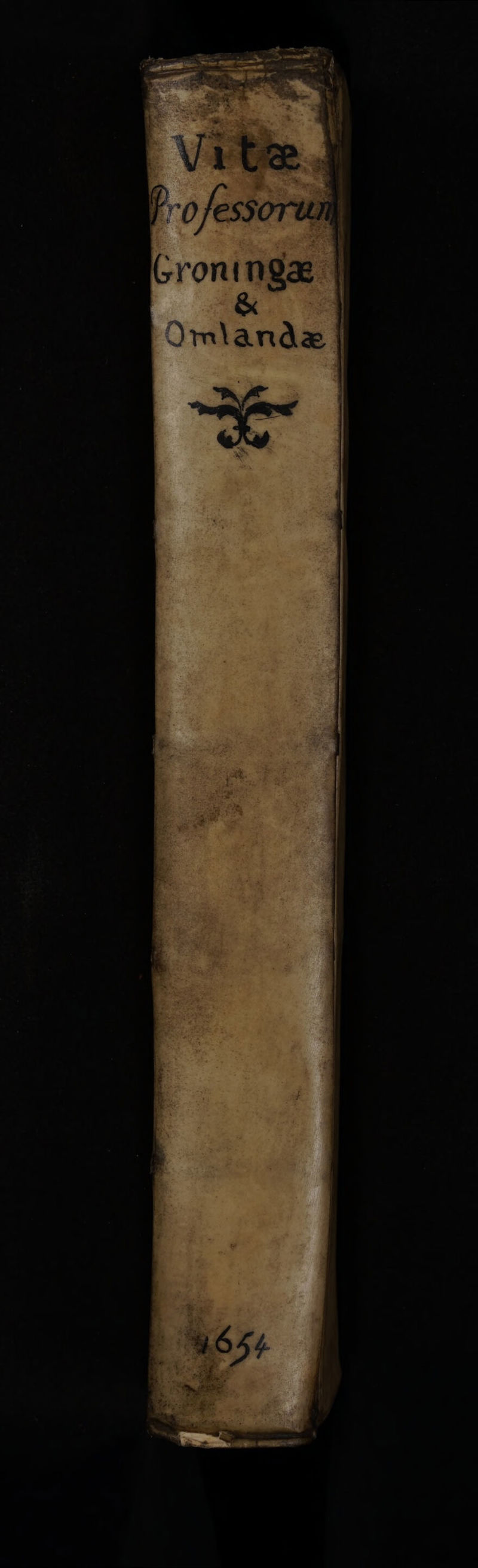 No text description is available for this image