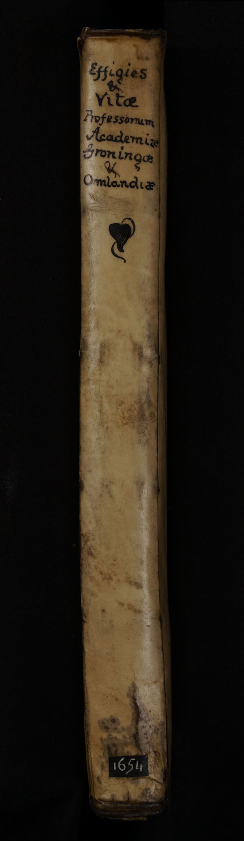 No text description is available for this image