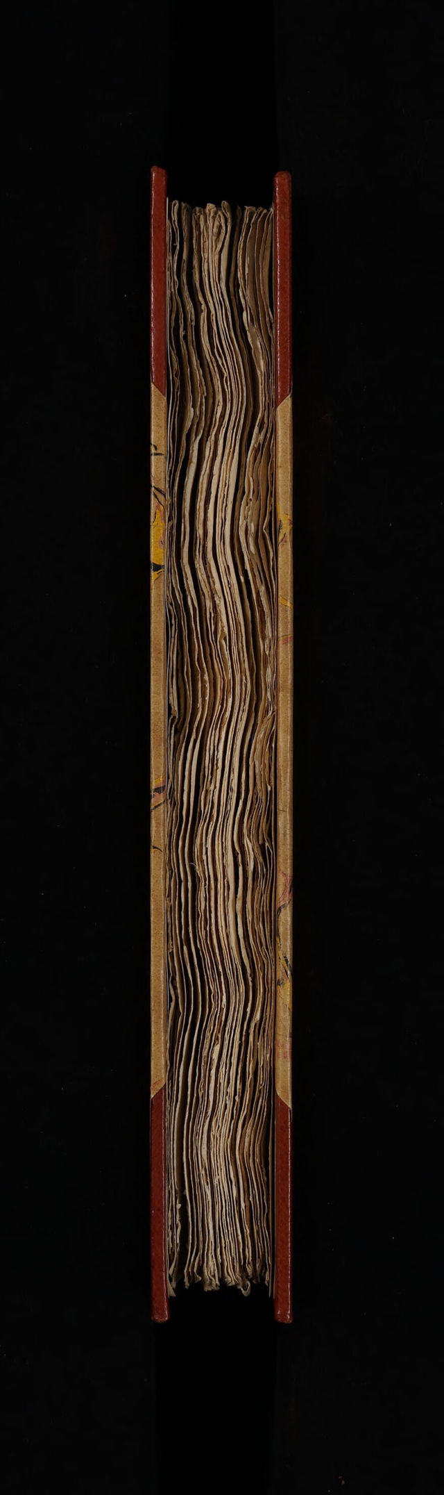 No text description is available for this image