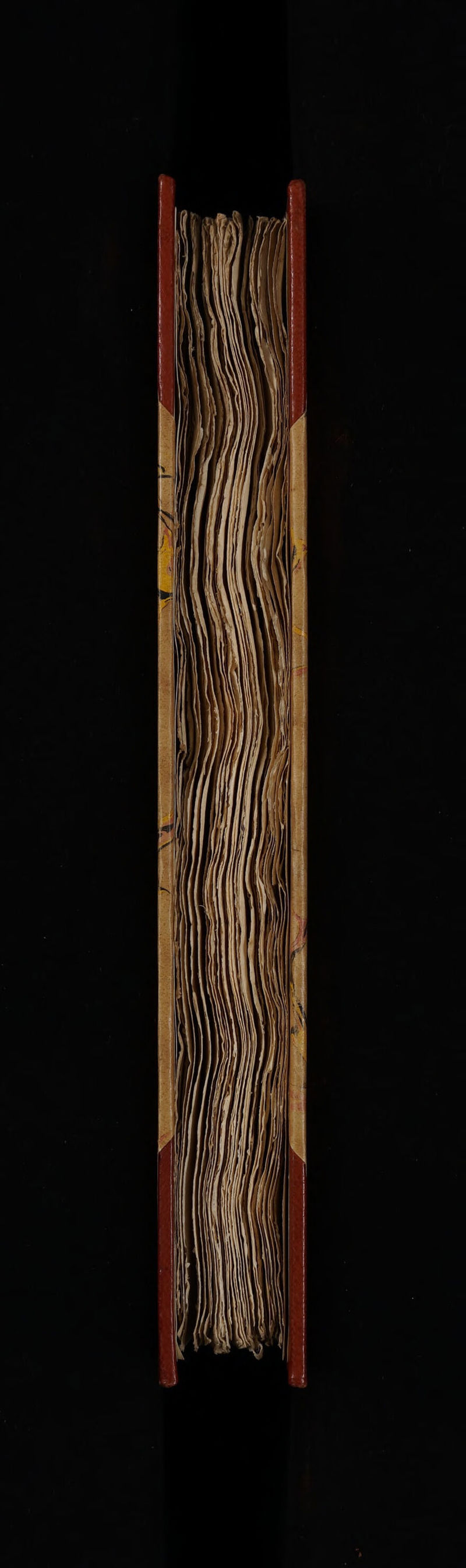 No text description is available for this image