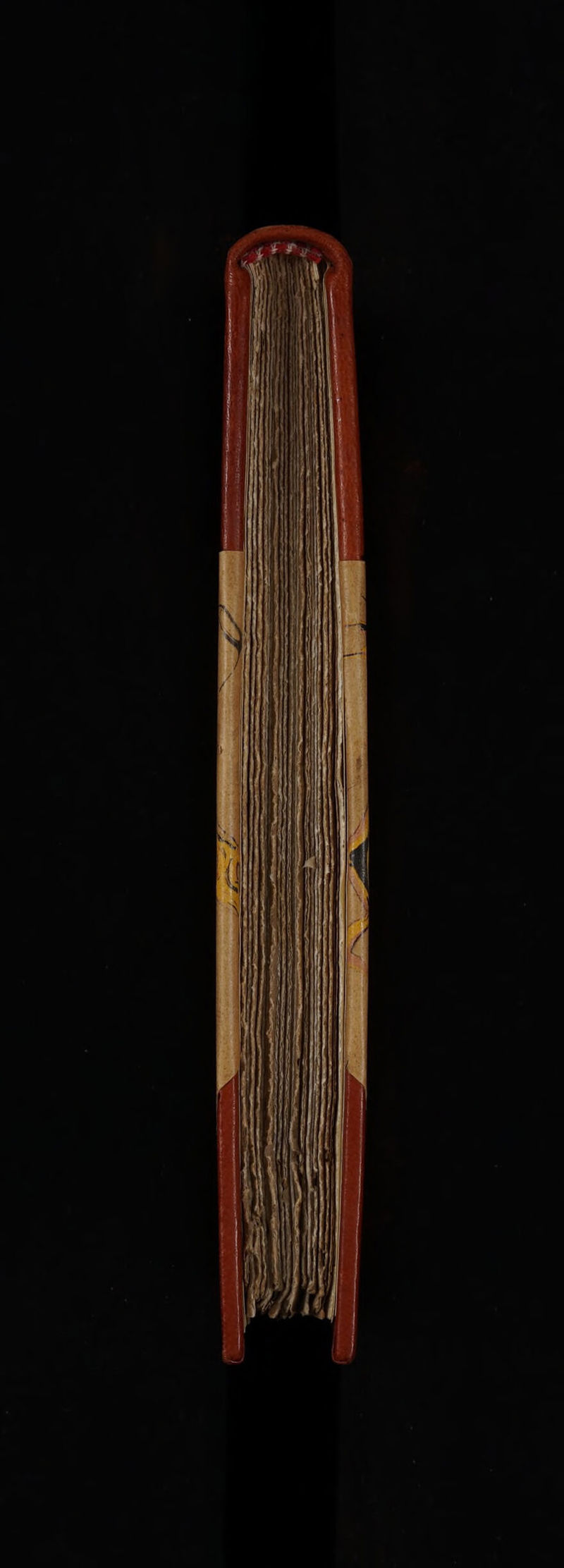 No text description is available for this image