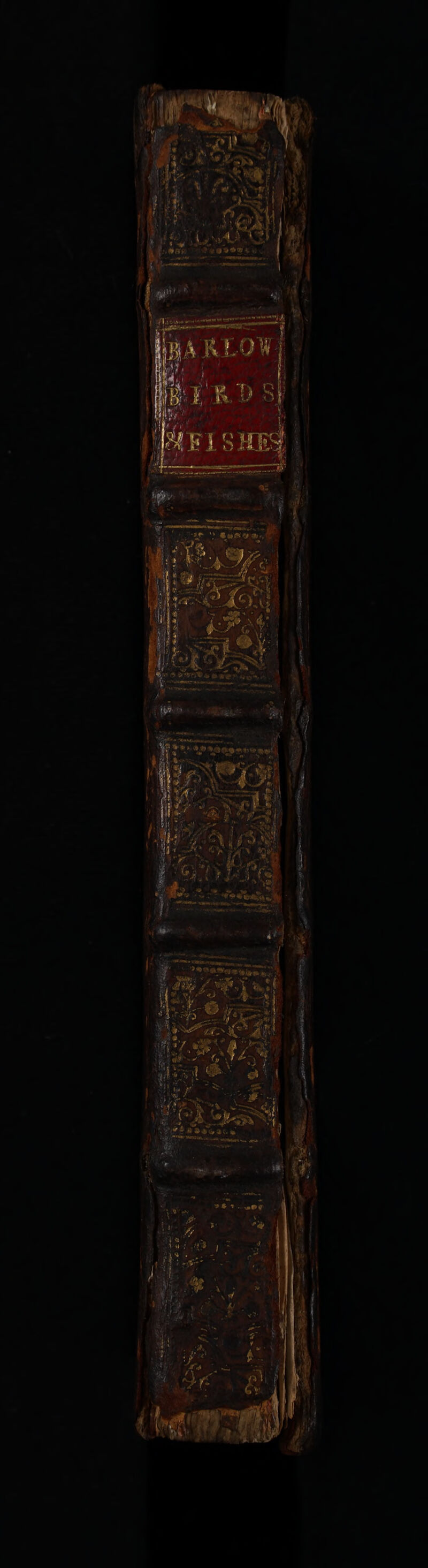 No text description is available for this image