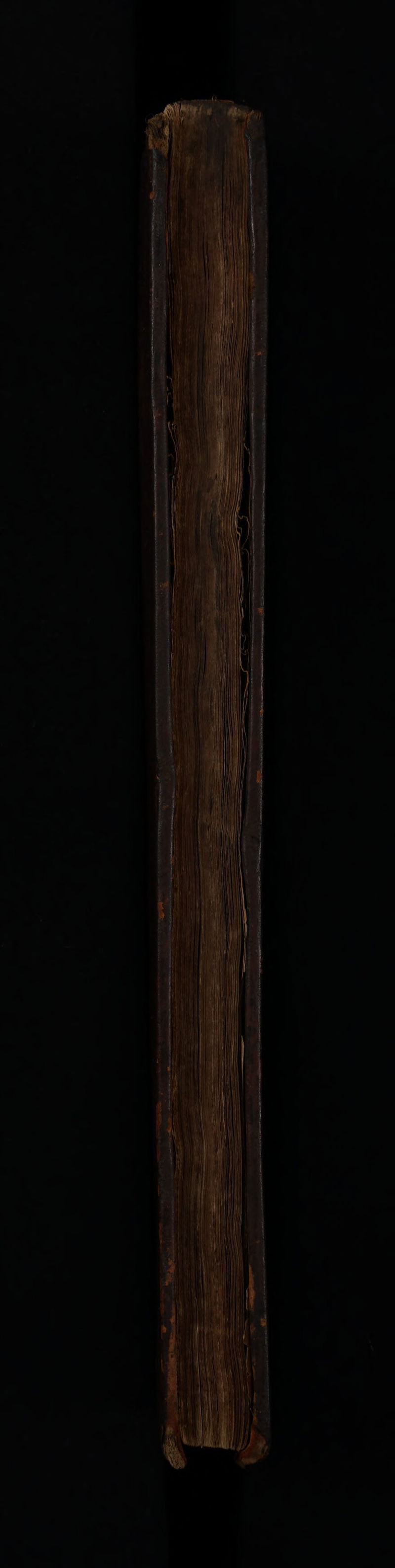 No text description is available for this image